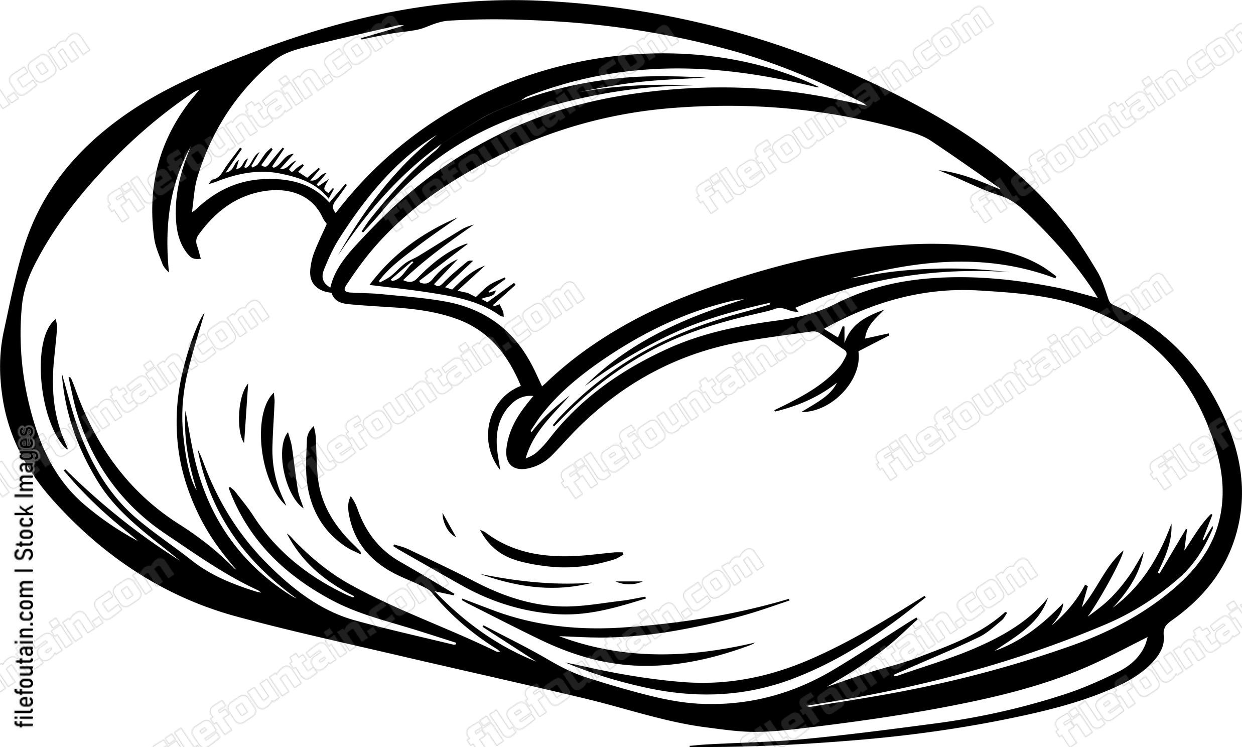 Artisan Bread