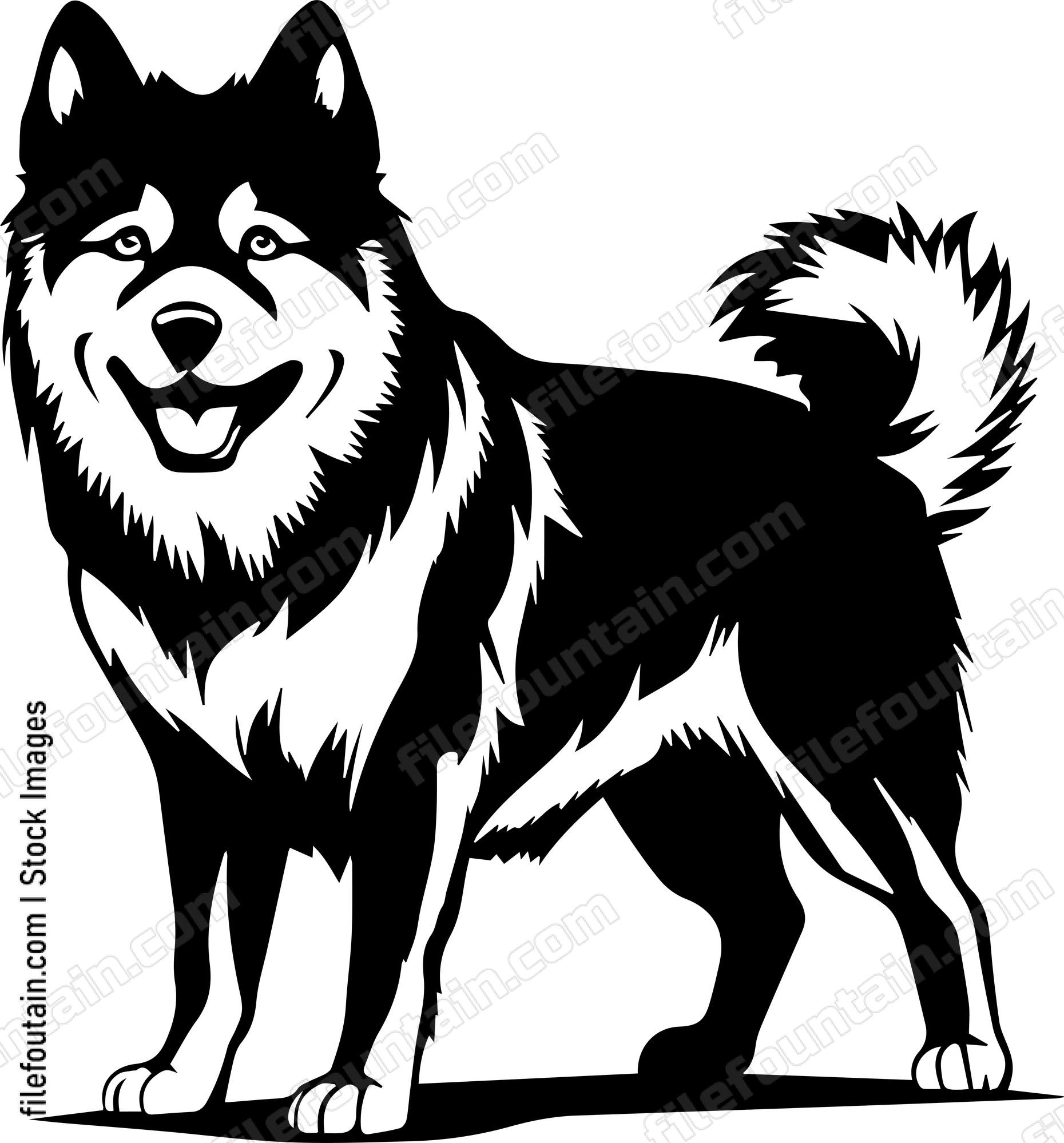 Akita