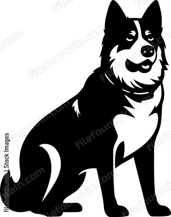 Akita