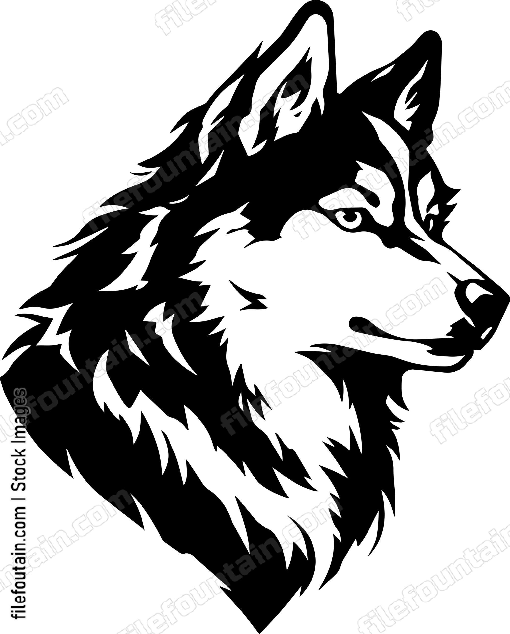 Alaskan Malamute