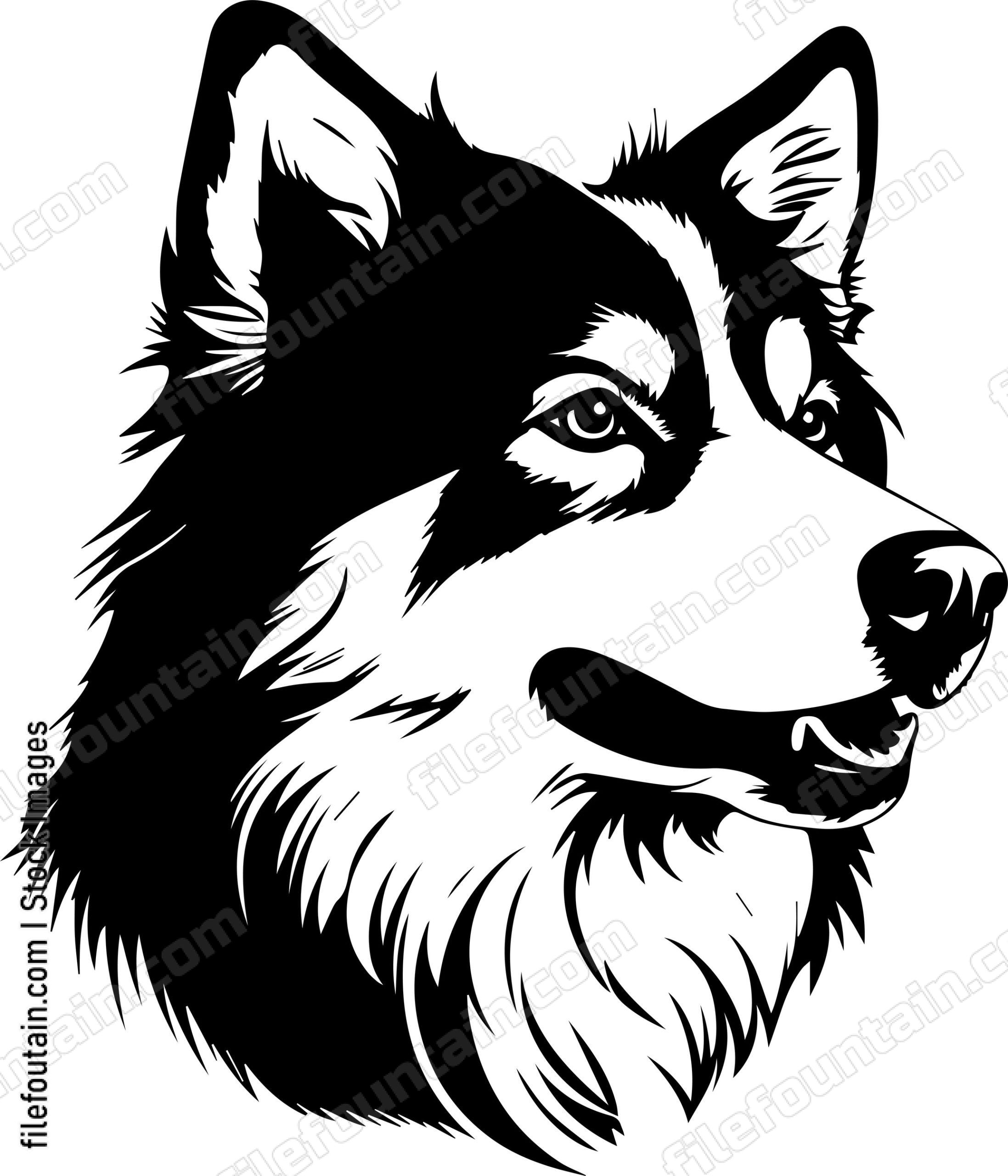 Alaskan Malamute