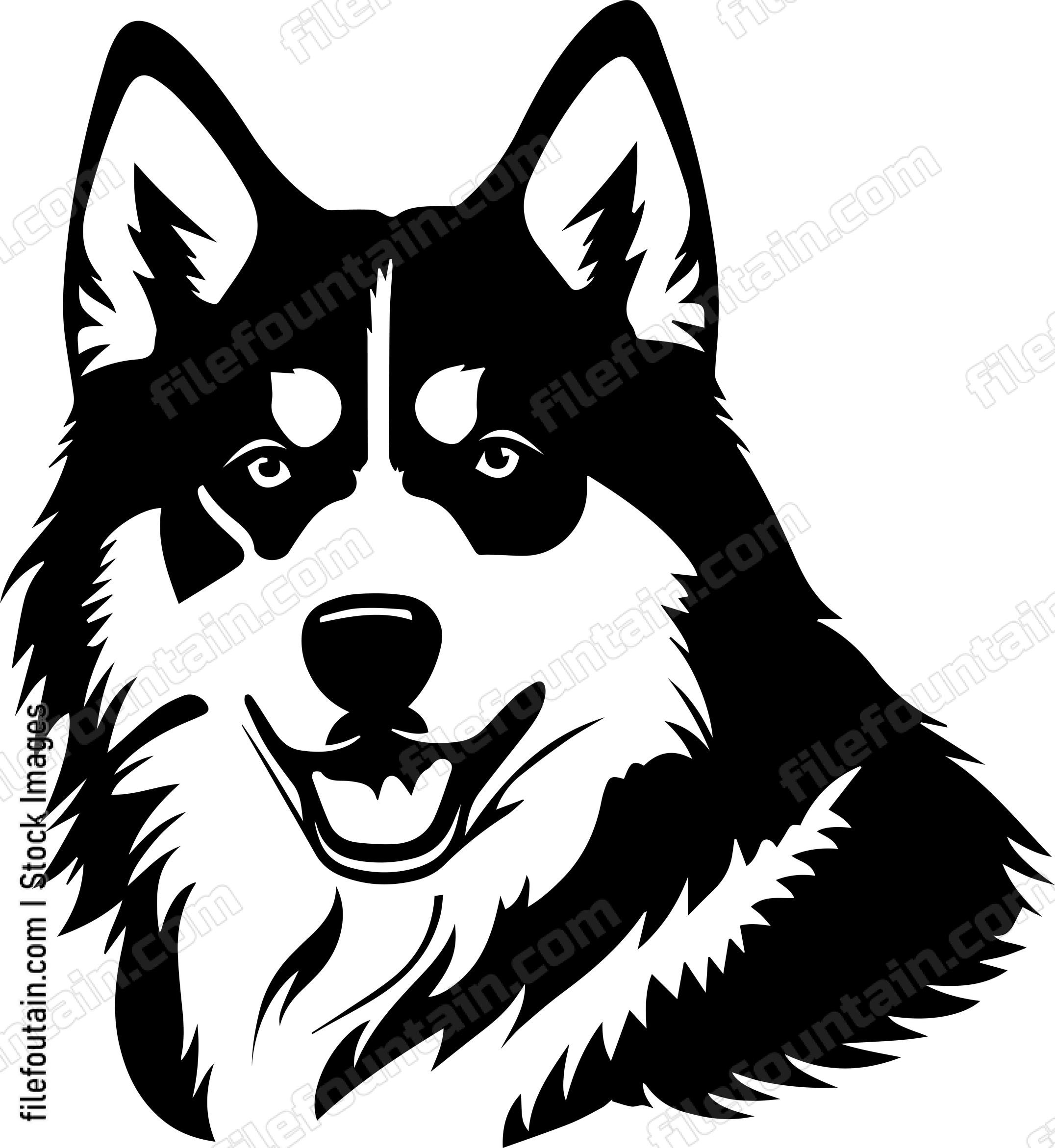 Alaskan Malamute