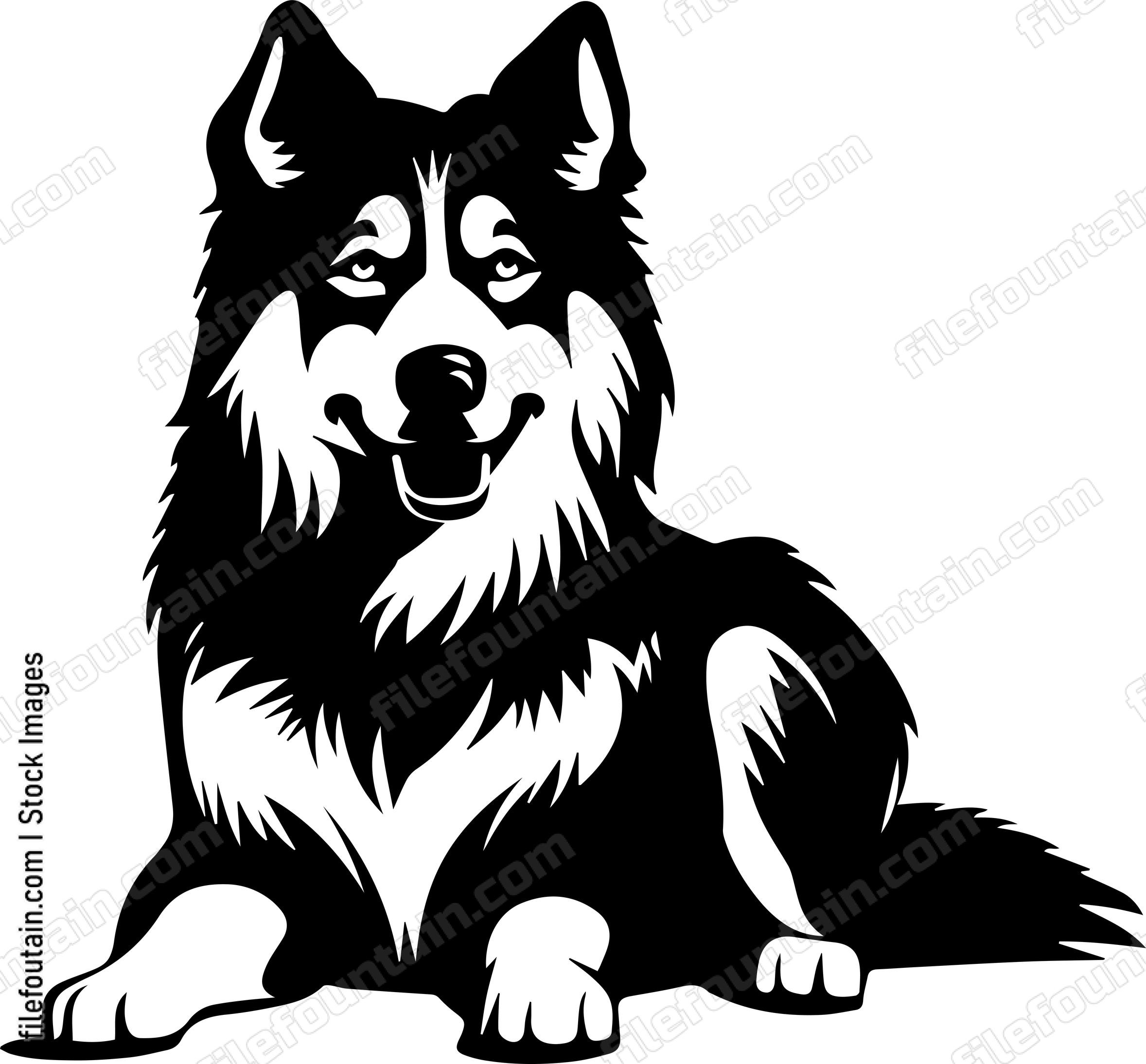 Alaskan Malamute