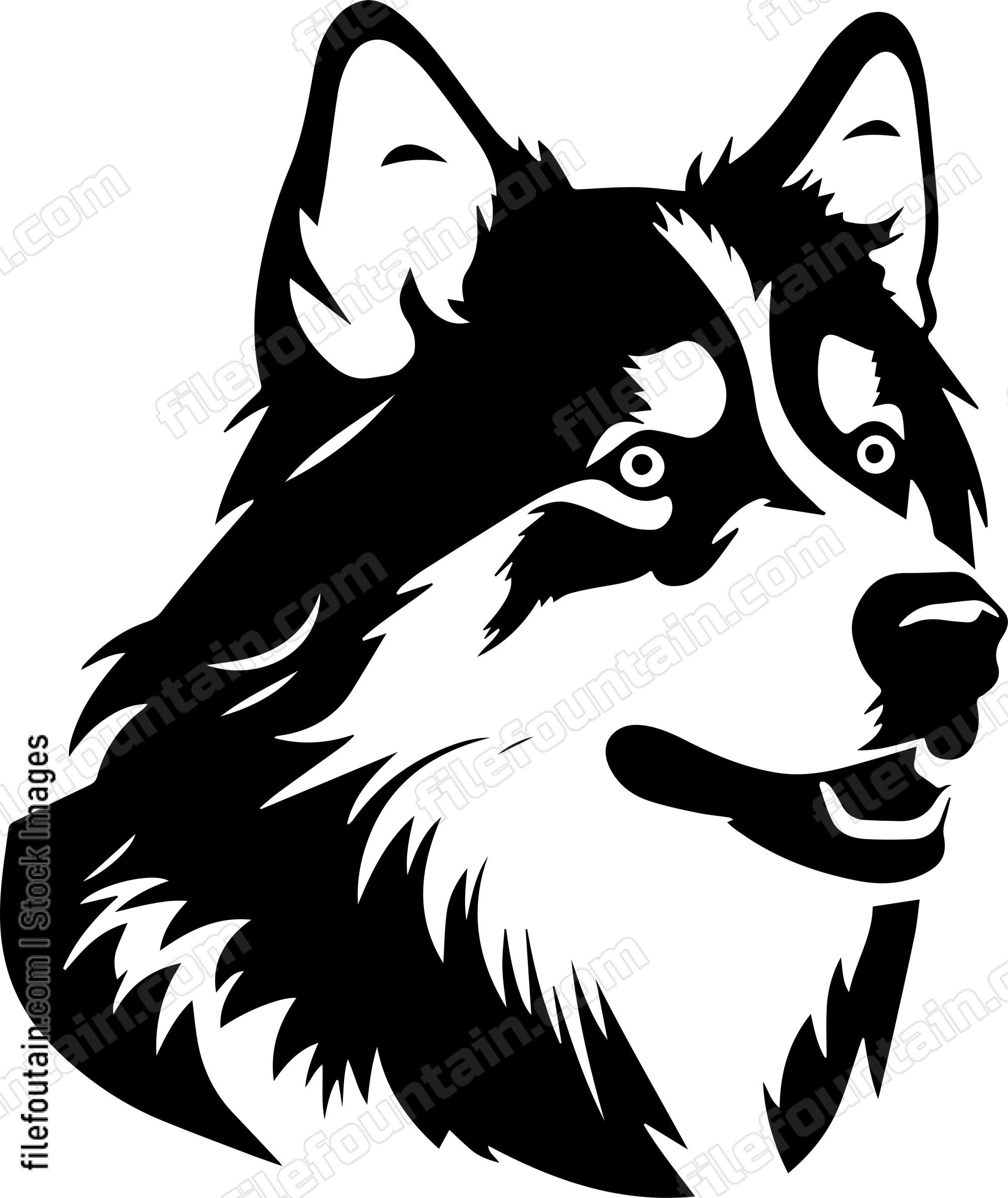 Alaskan Malamute