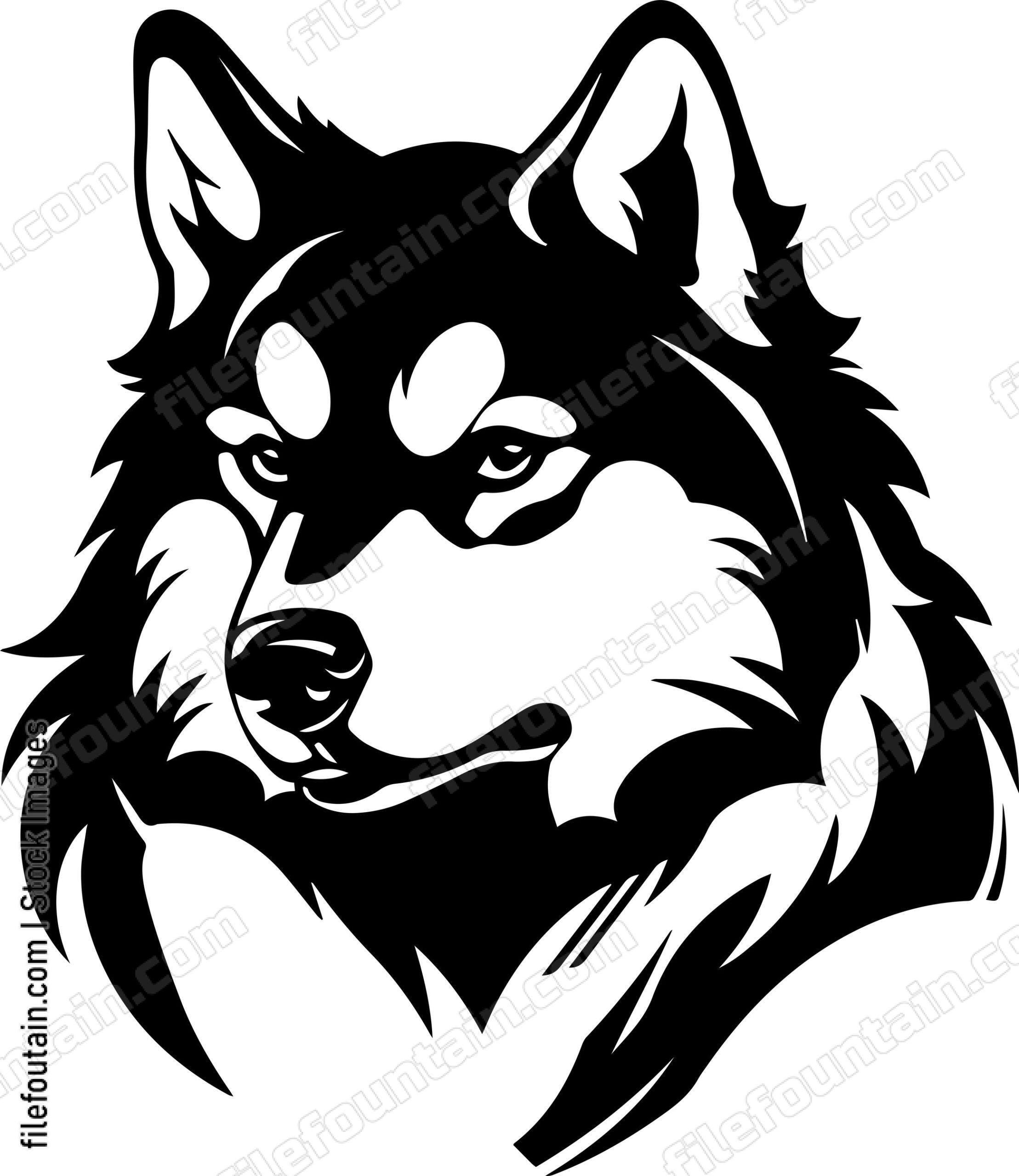 Alaskan Malamute