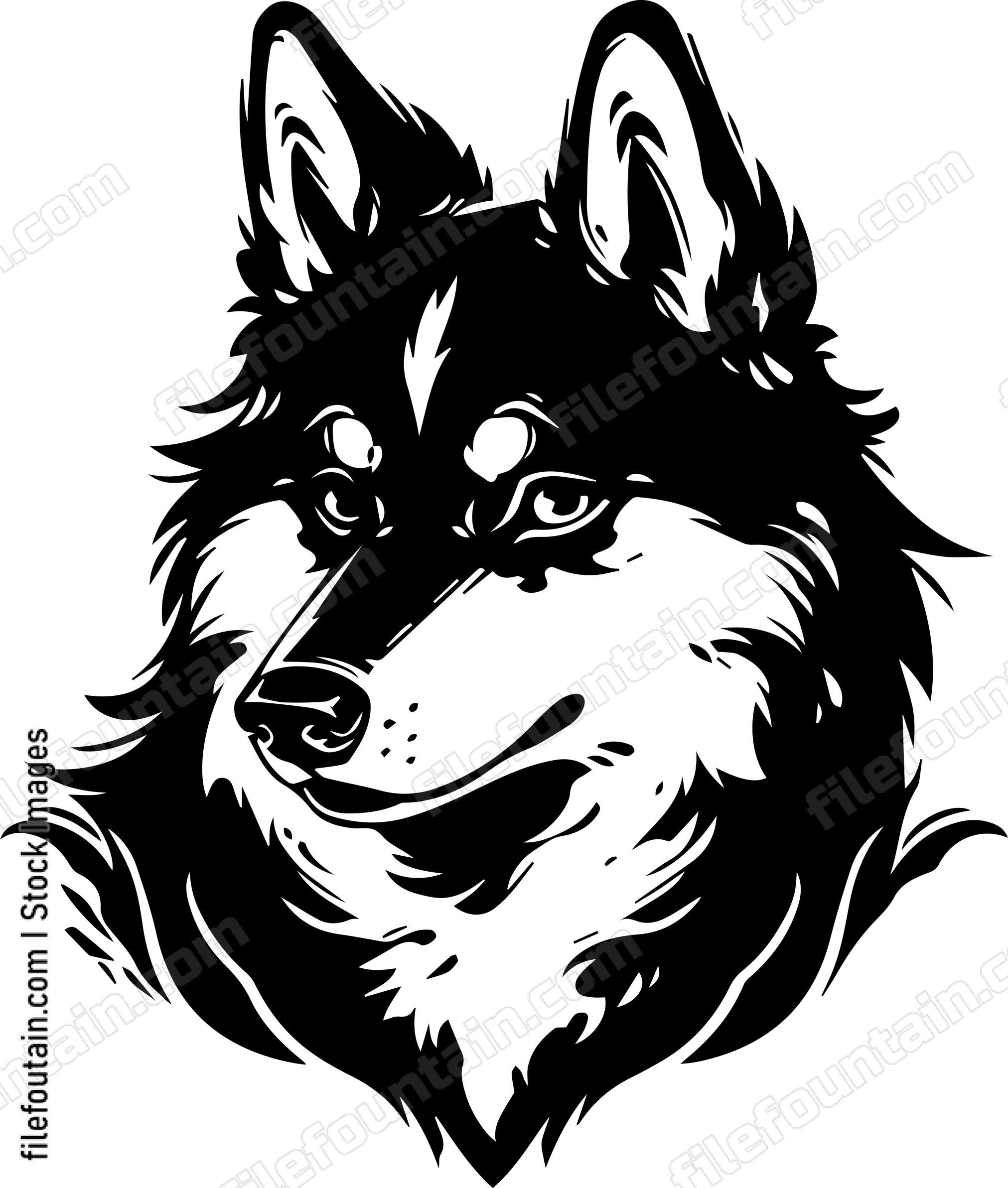 Alaskan Malamute