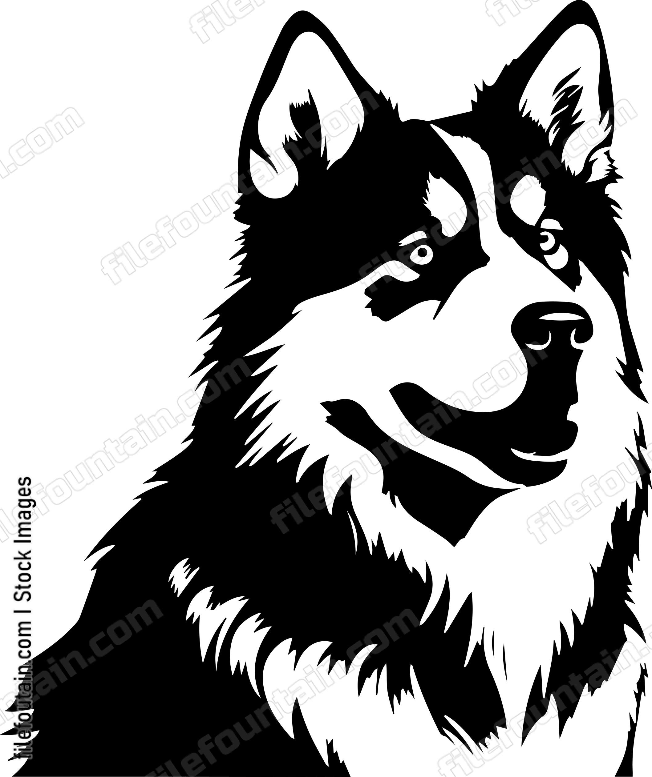 Alaskan Malamute
