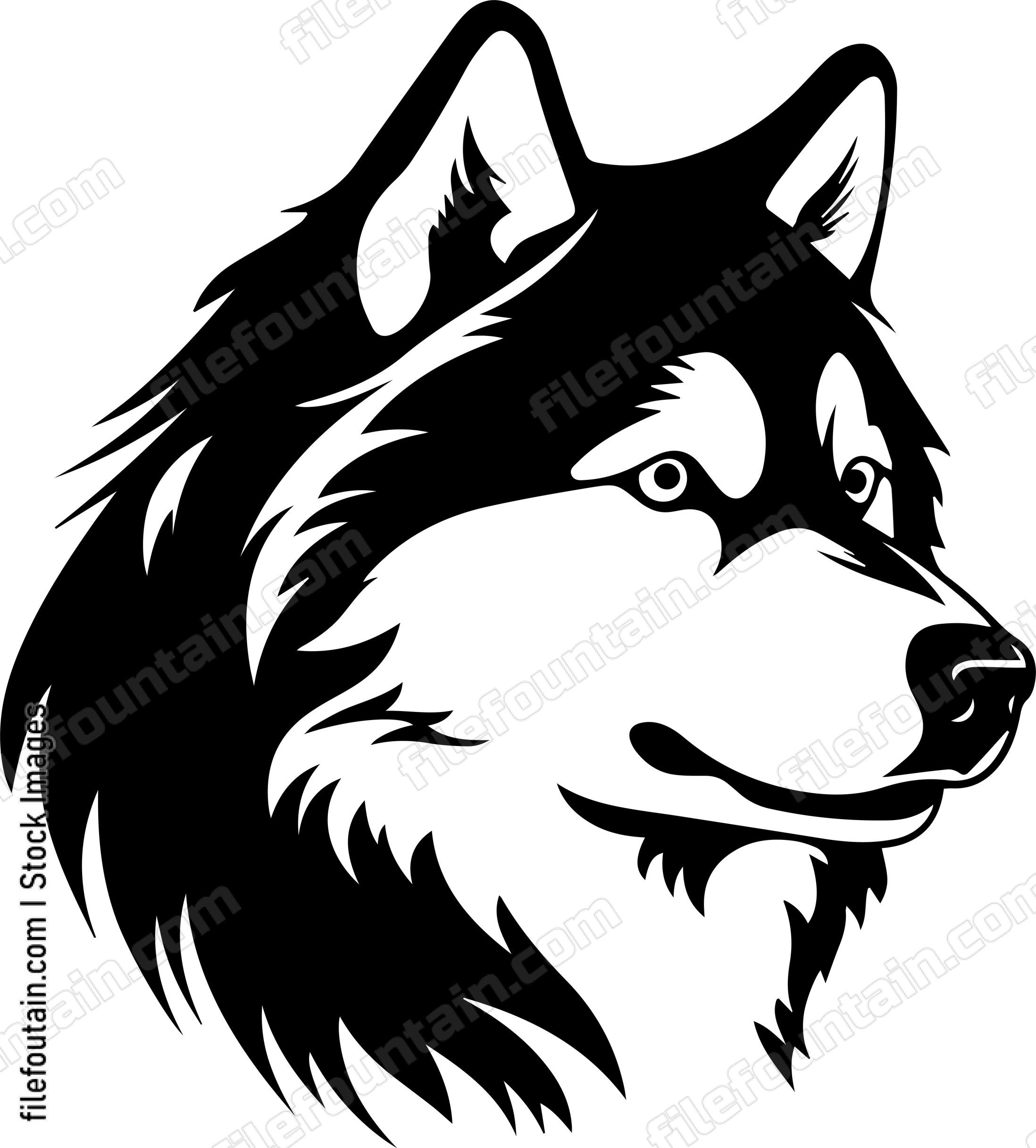 Alaskan Malamute