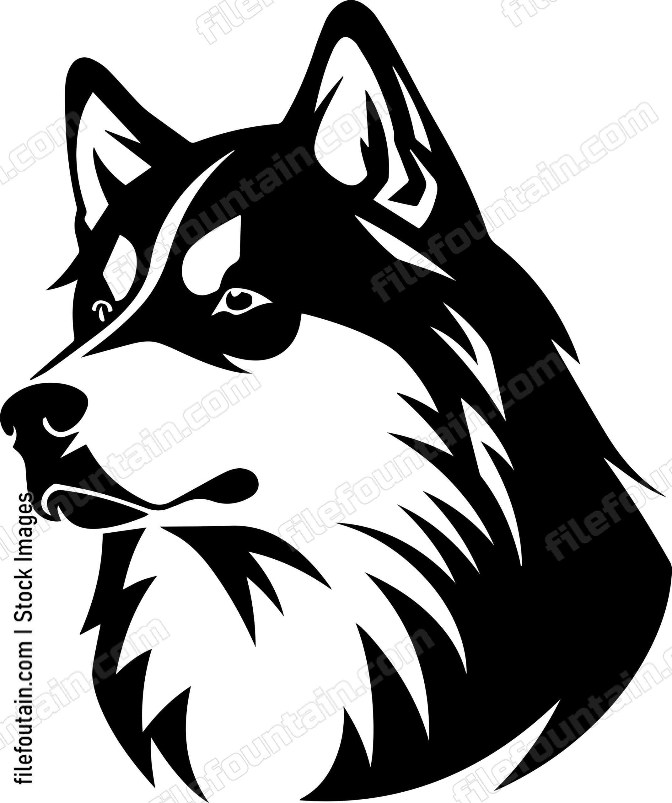 Alaskan Malamute