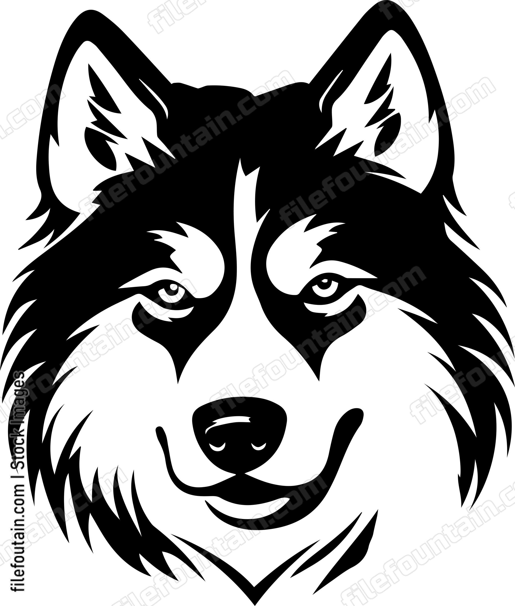Alaskan Malamute