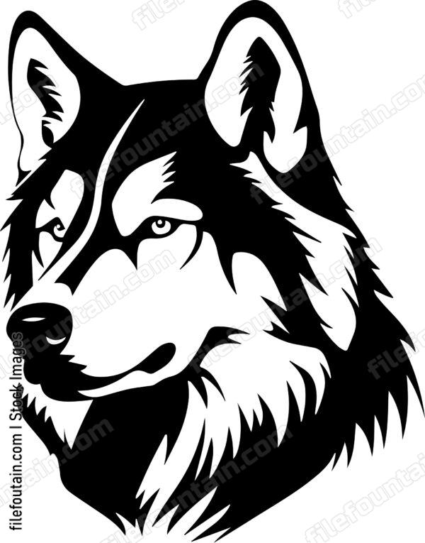 Alaskan Malamute