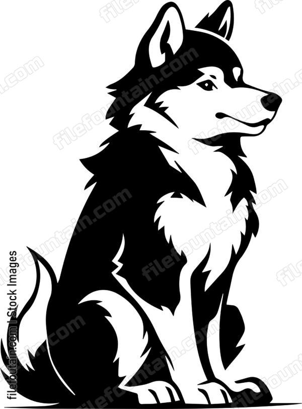 Alaskan Malamute