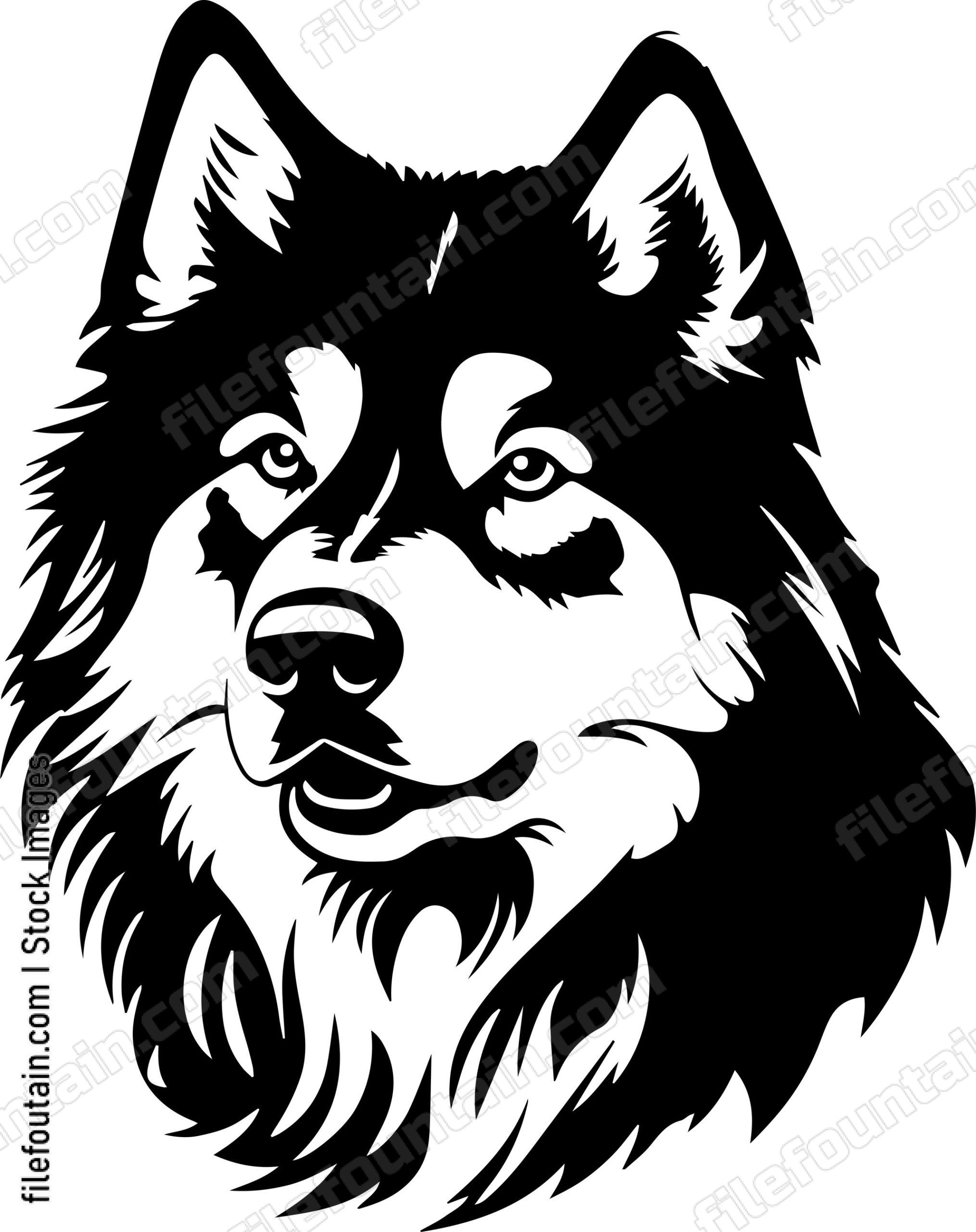 Alaskan Malamute