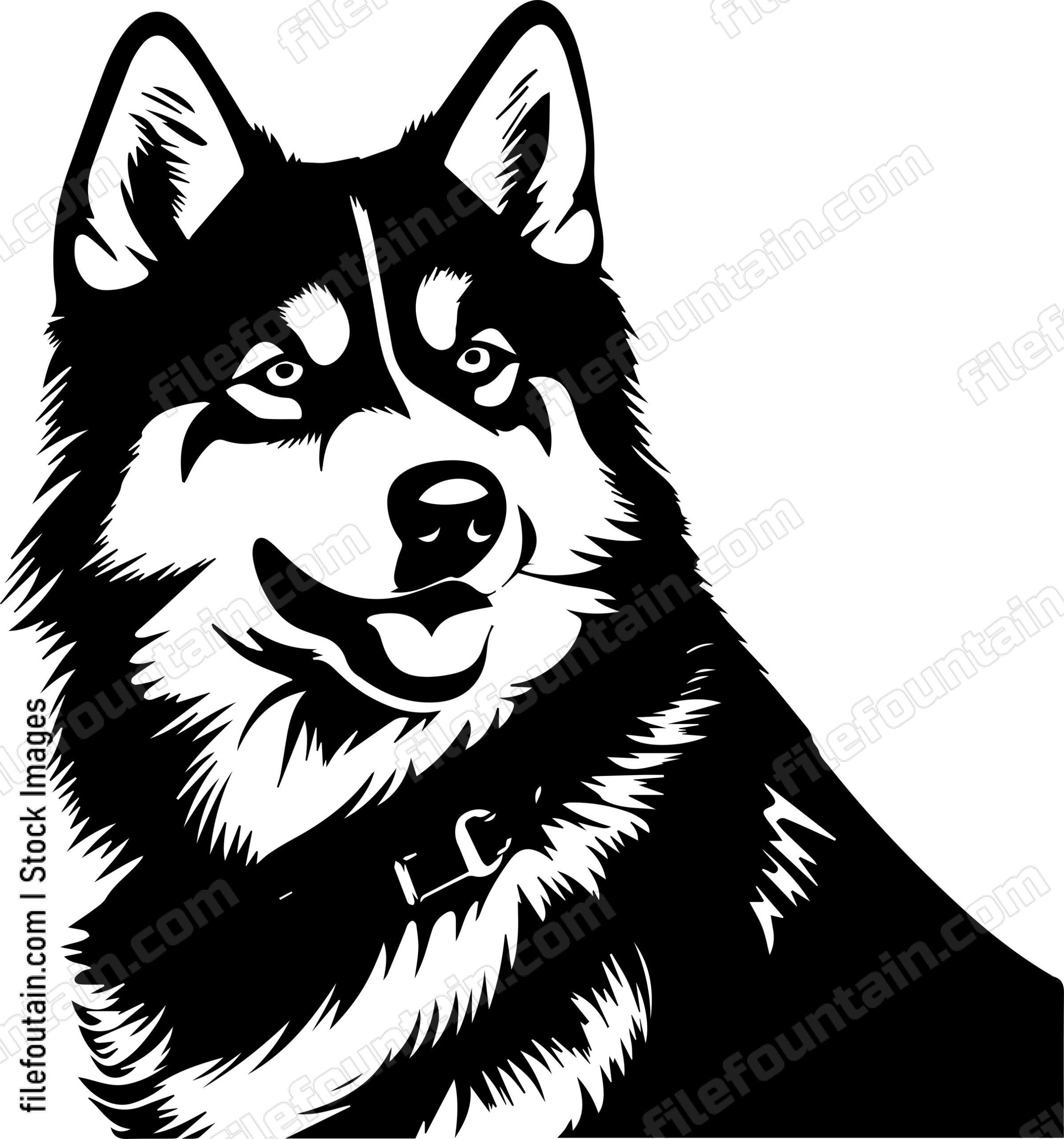 Alaskan Malamute