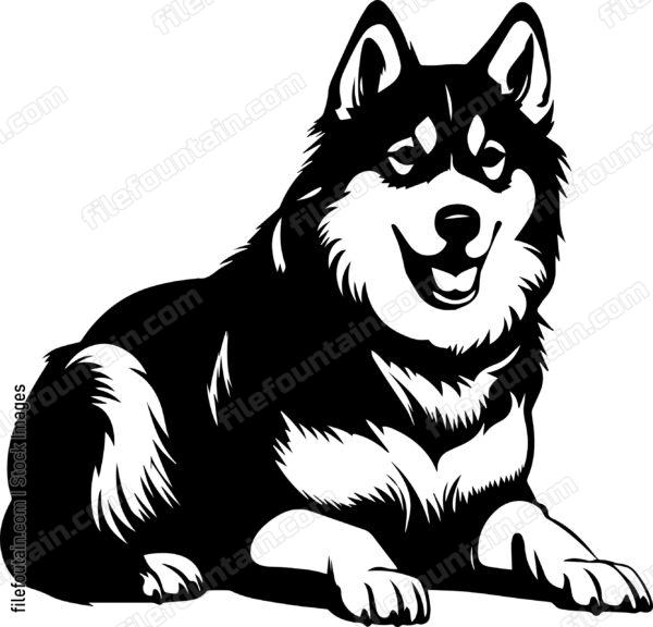 Alaskan Malamute