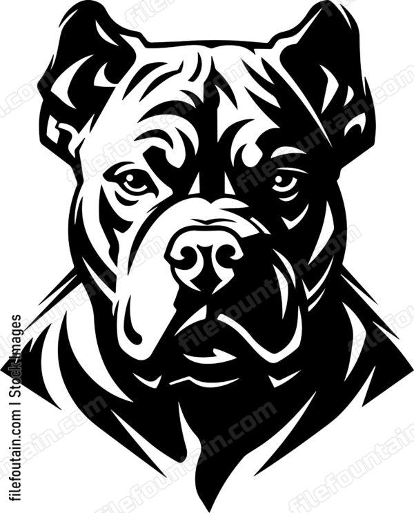 American Pitbull