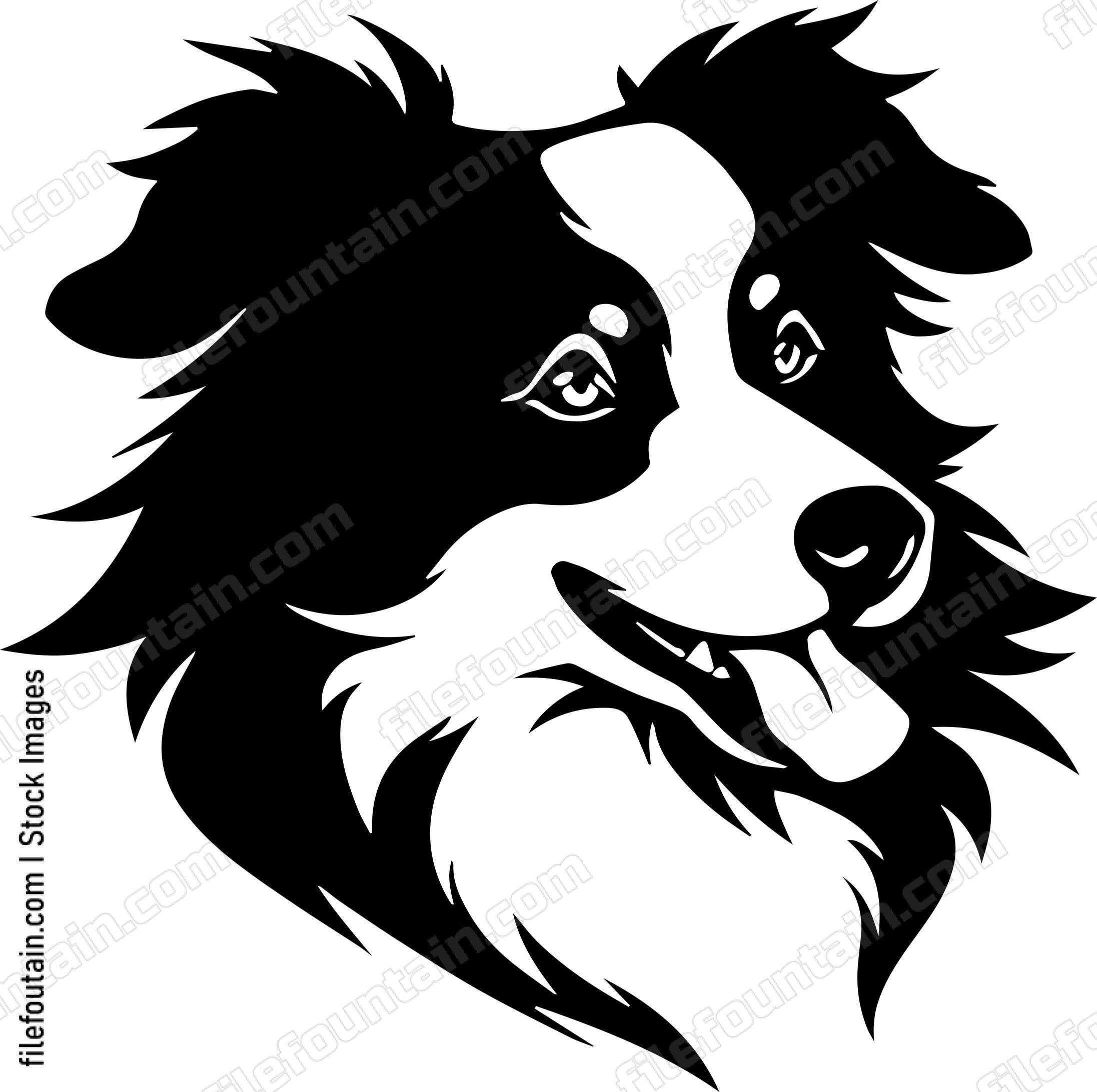 Australian Shepherd