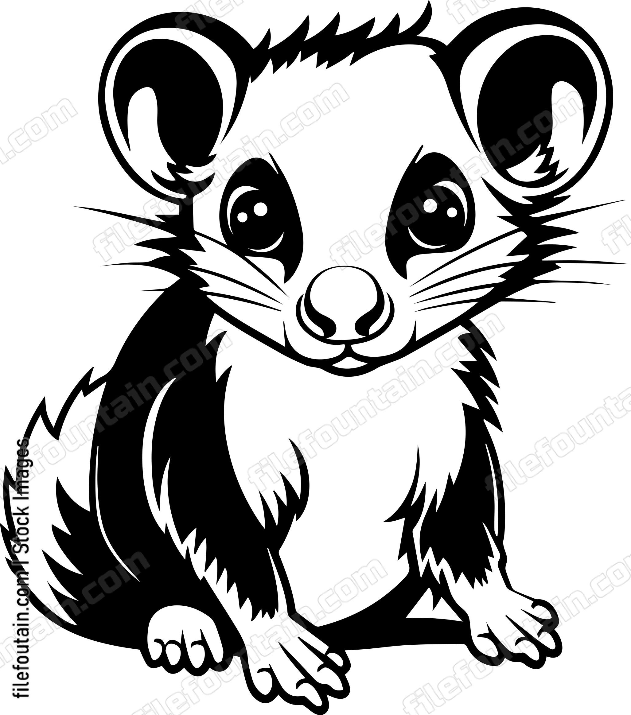 Baby Opossum