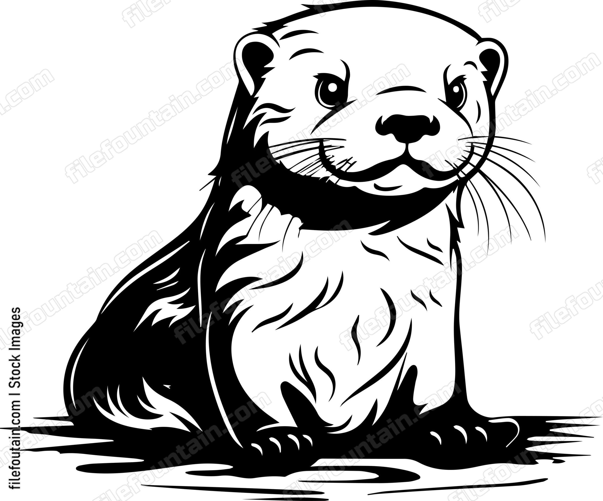 Baby Otter