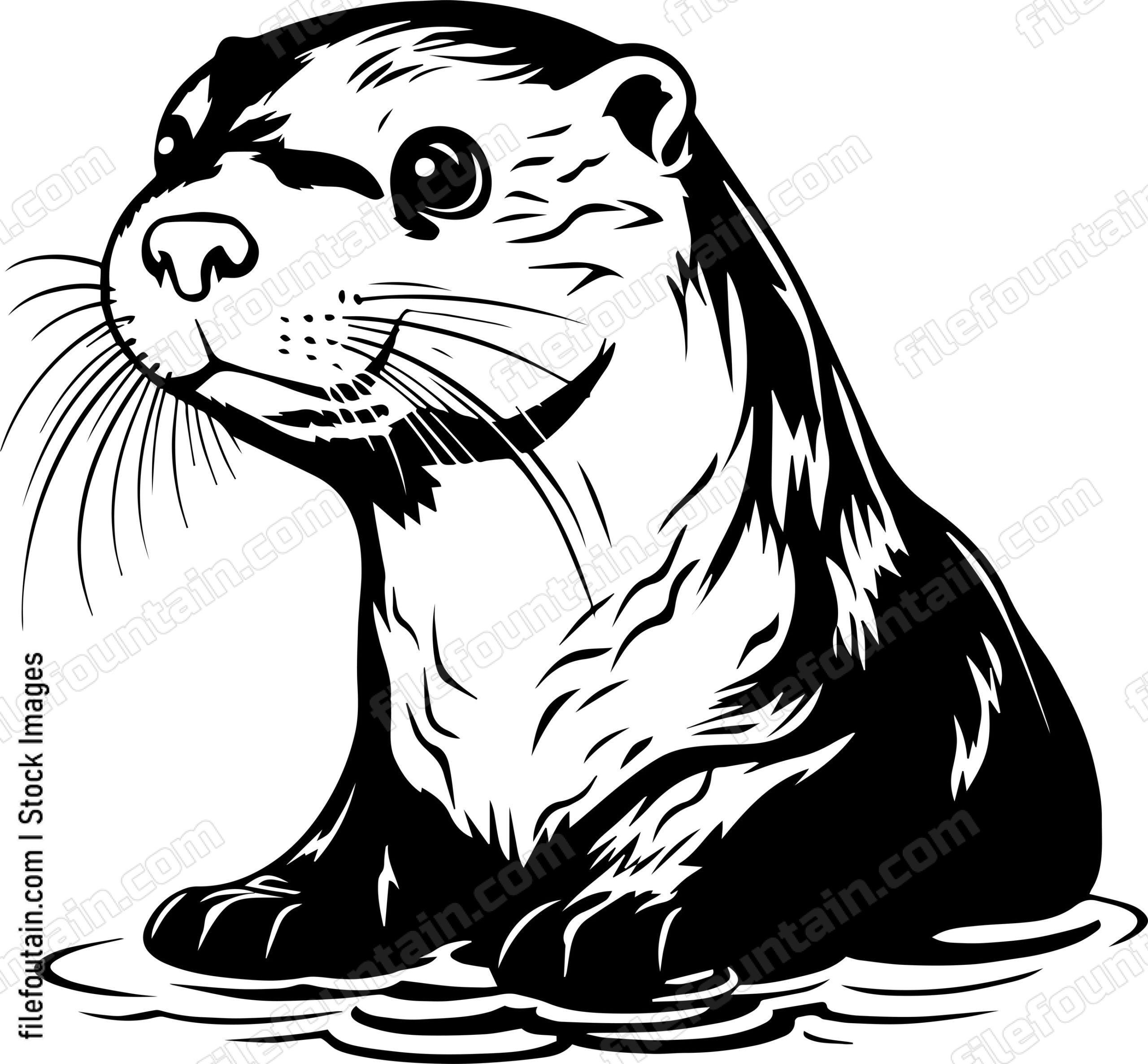 Baby Otter