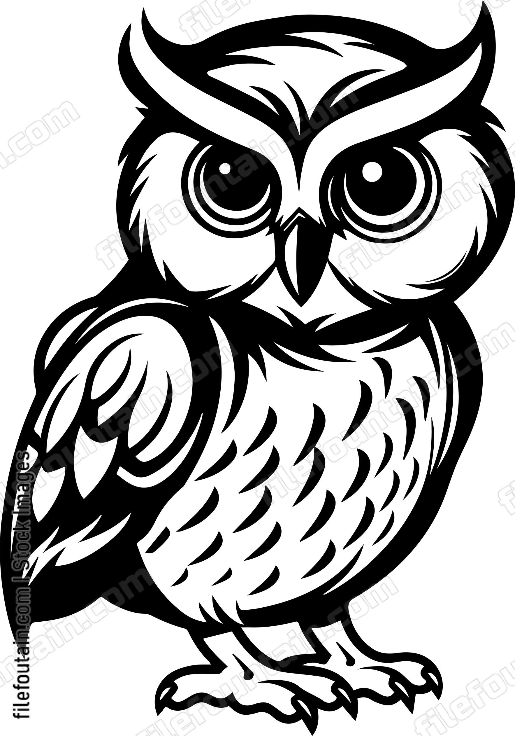 Baby Owl