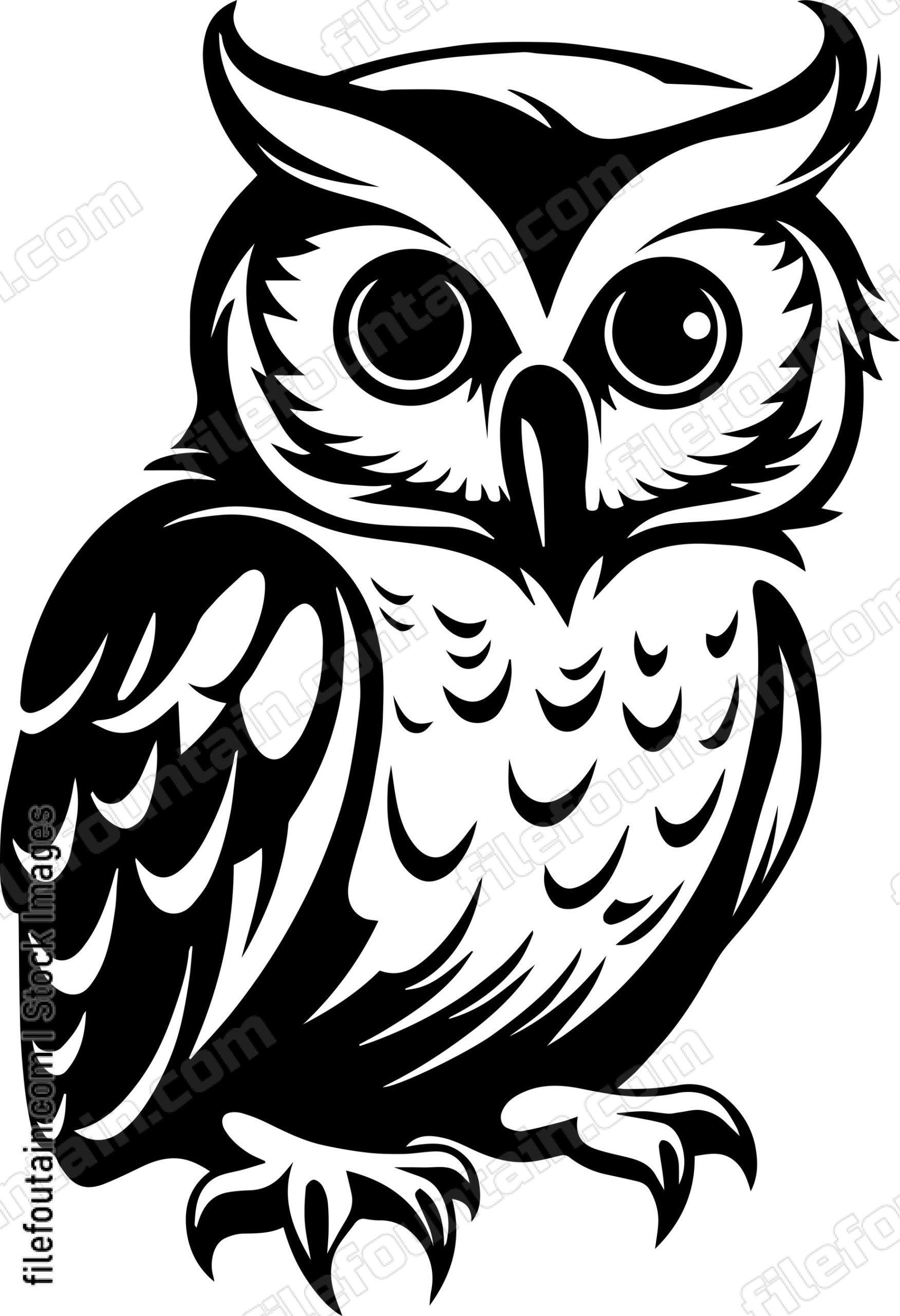 Baby Owl