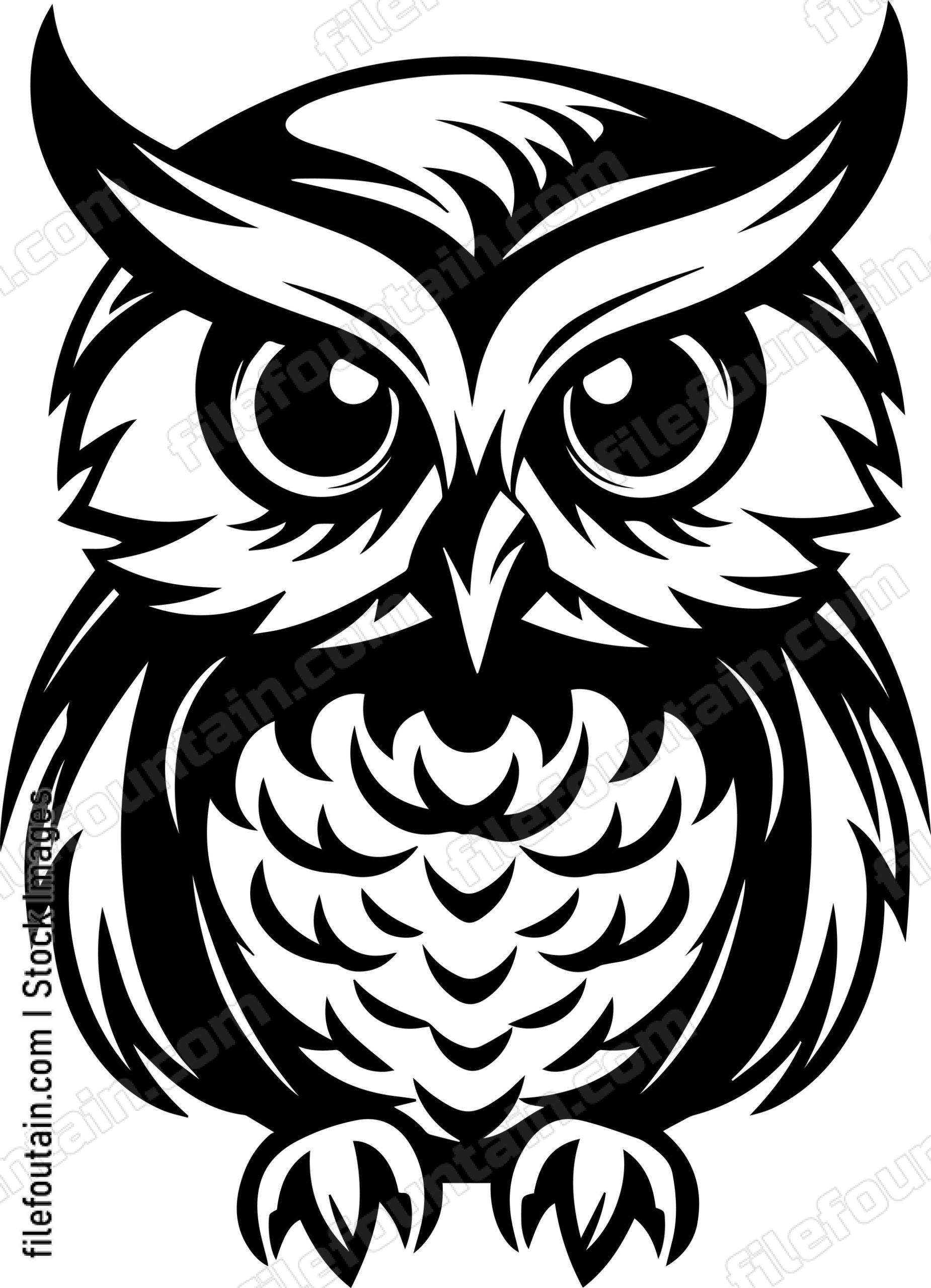 Baby Owl
