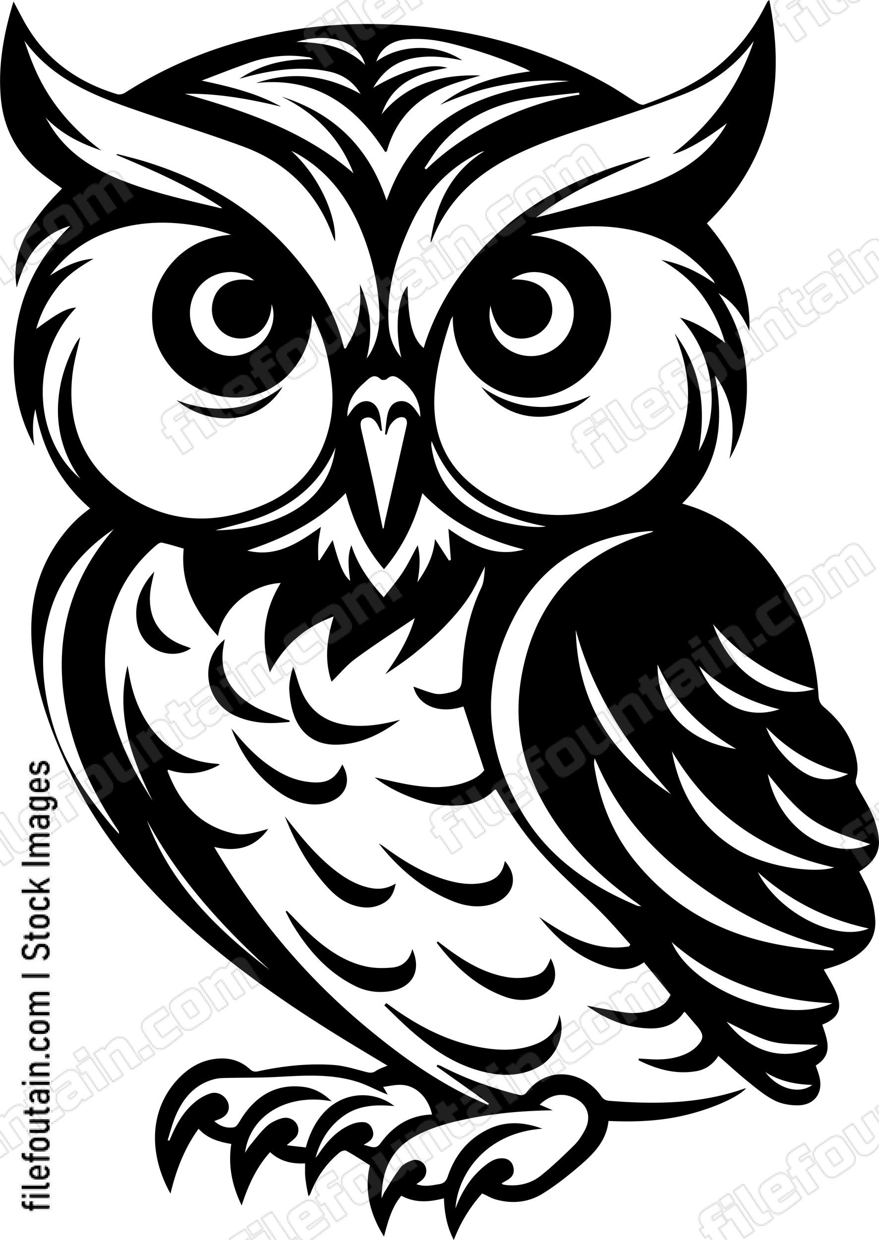 Baby Owl
