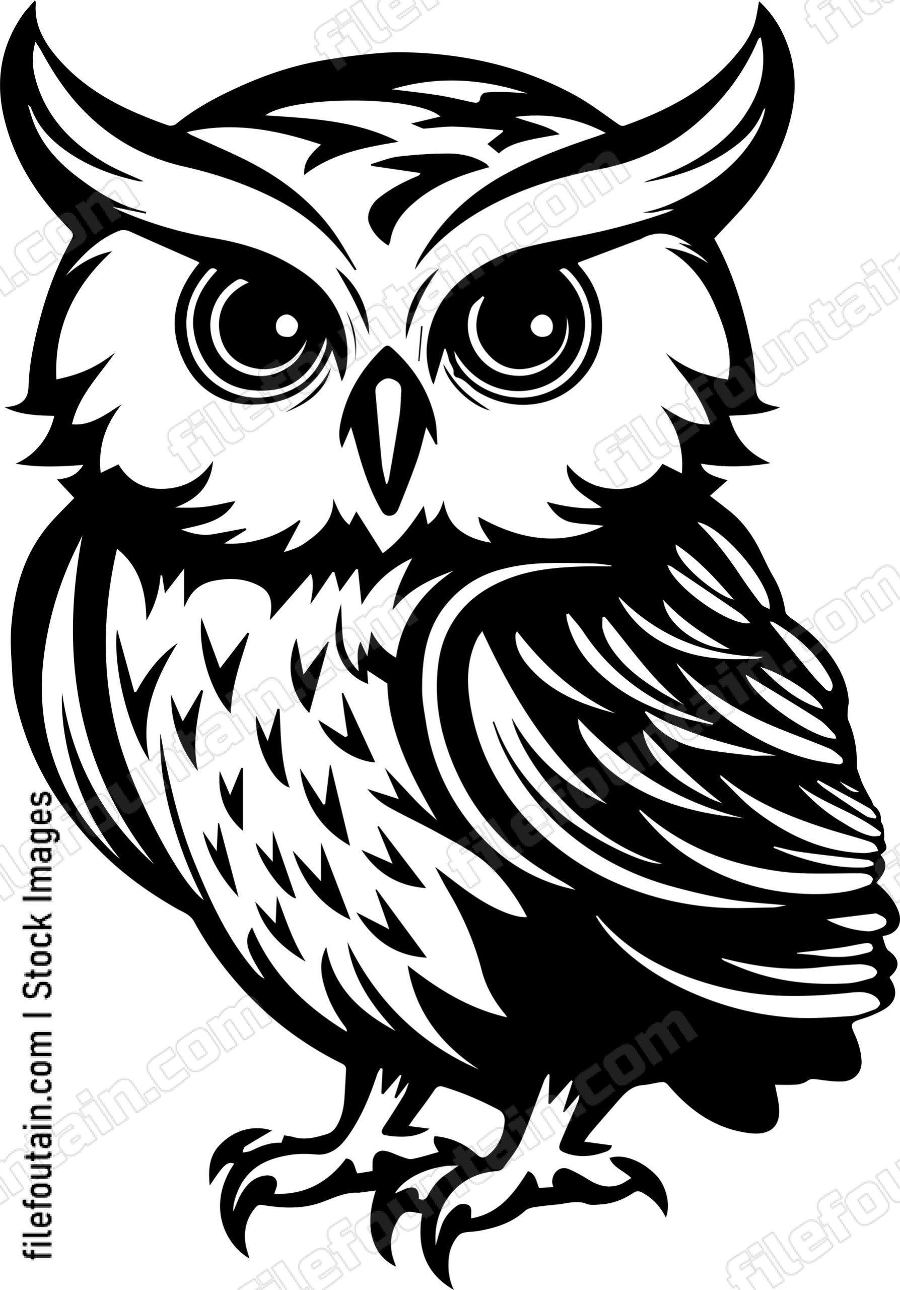 Baby Owl