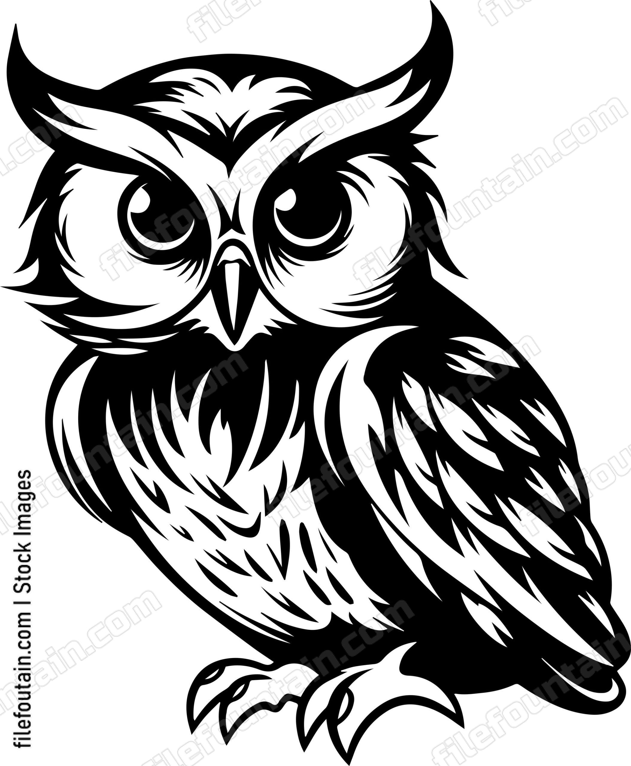 Baby Owl