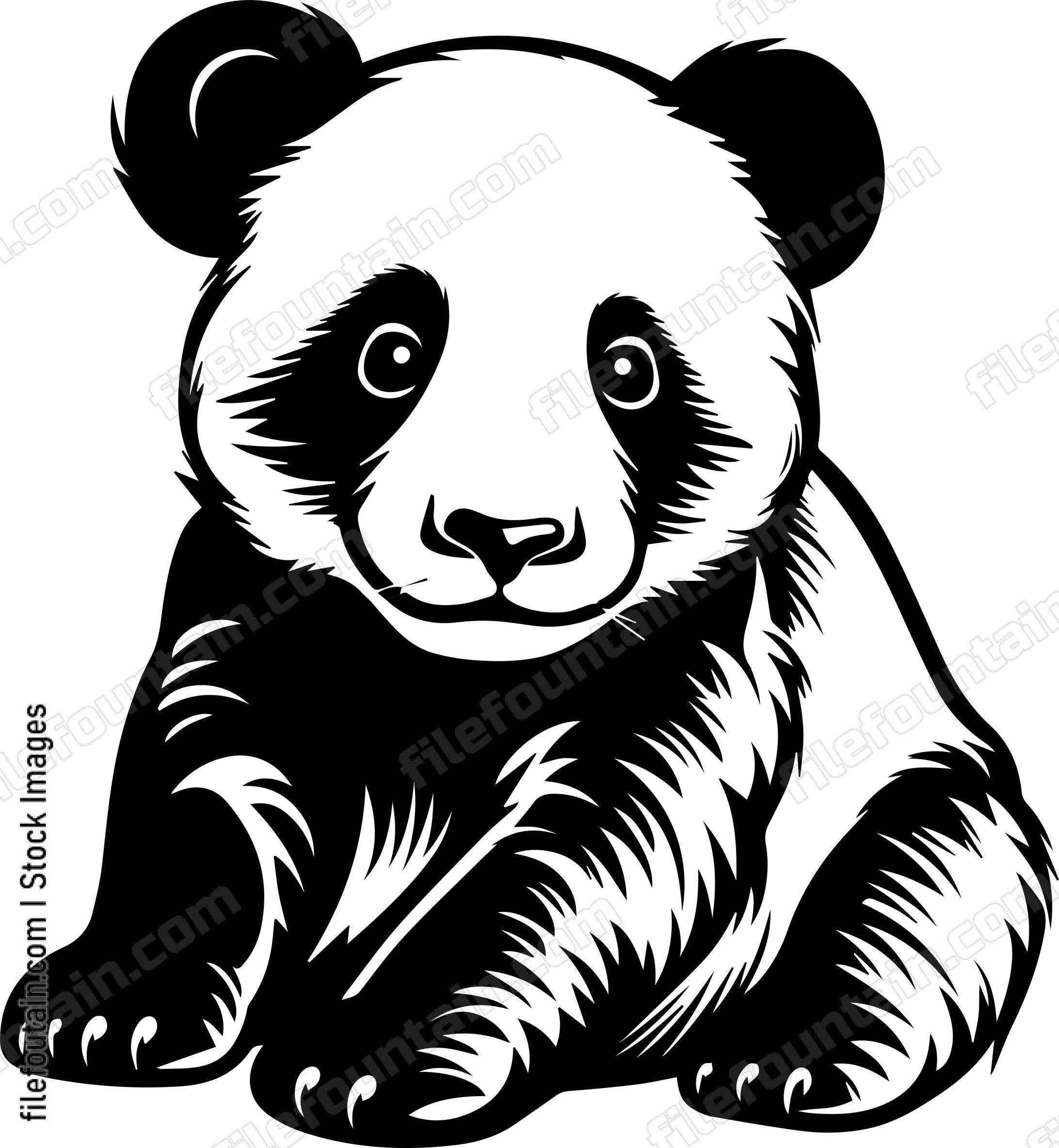 Baby Panda