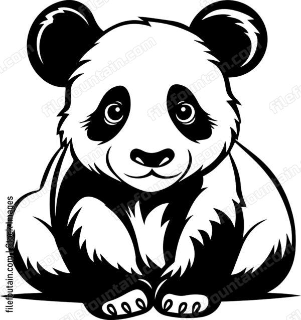 Baby Panda