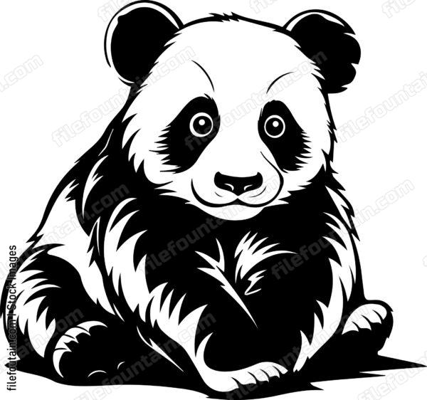 Baby Panda