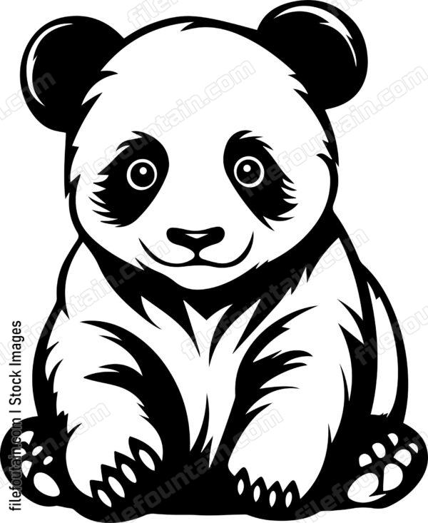 Baby Panda