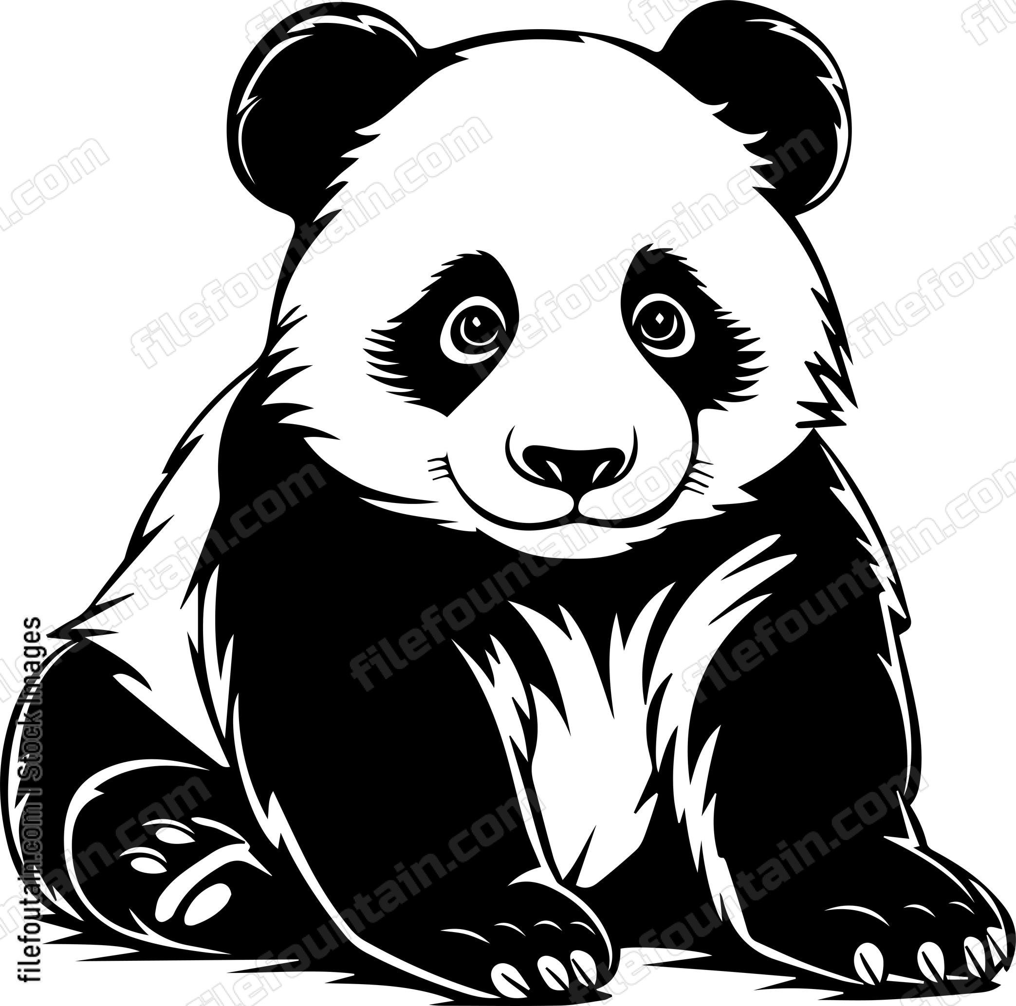 Baby Panda