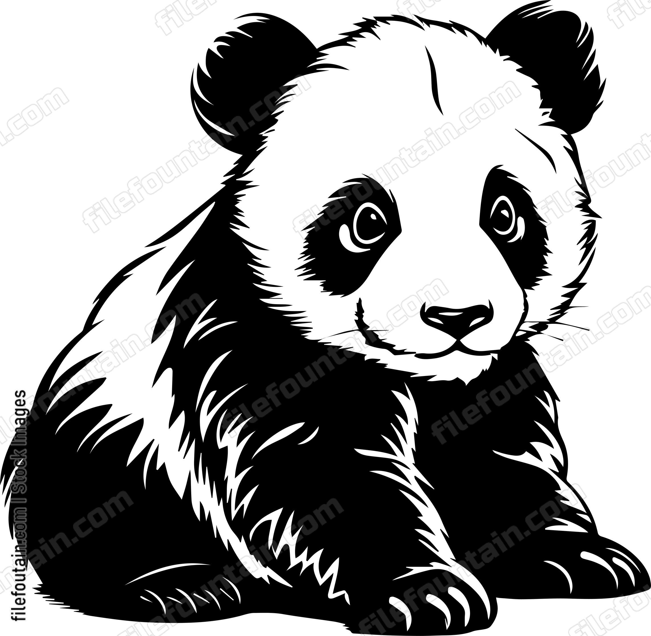 Baby Panda