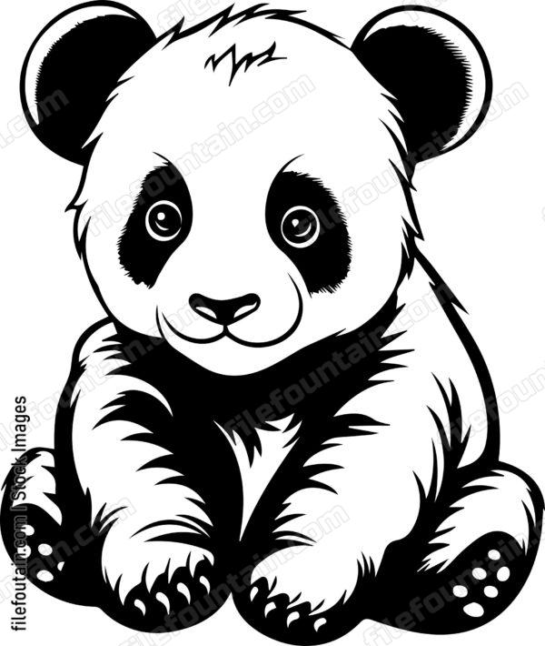 Baby Panda