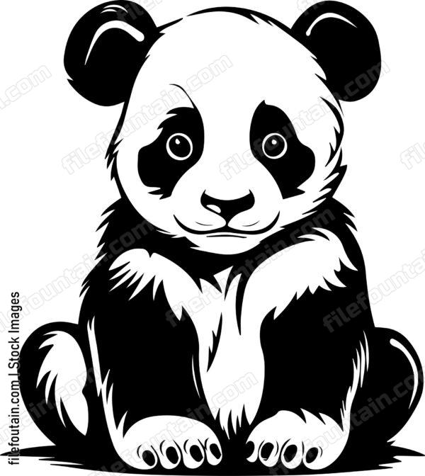 Baby Panda
