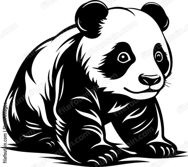 Baby Panda