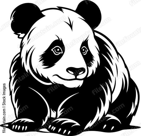 baby panda