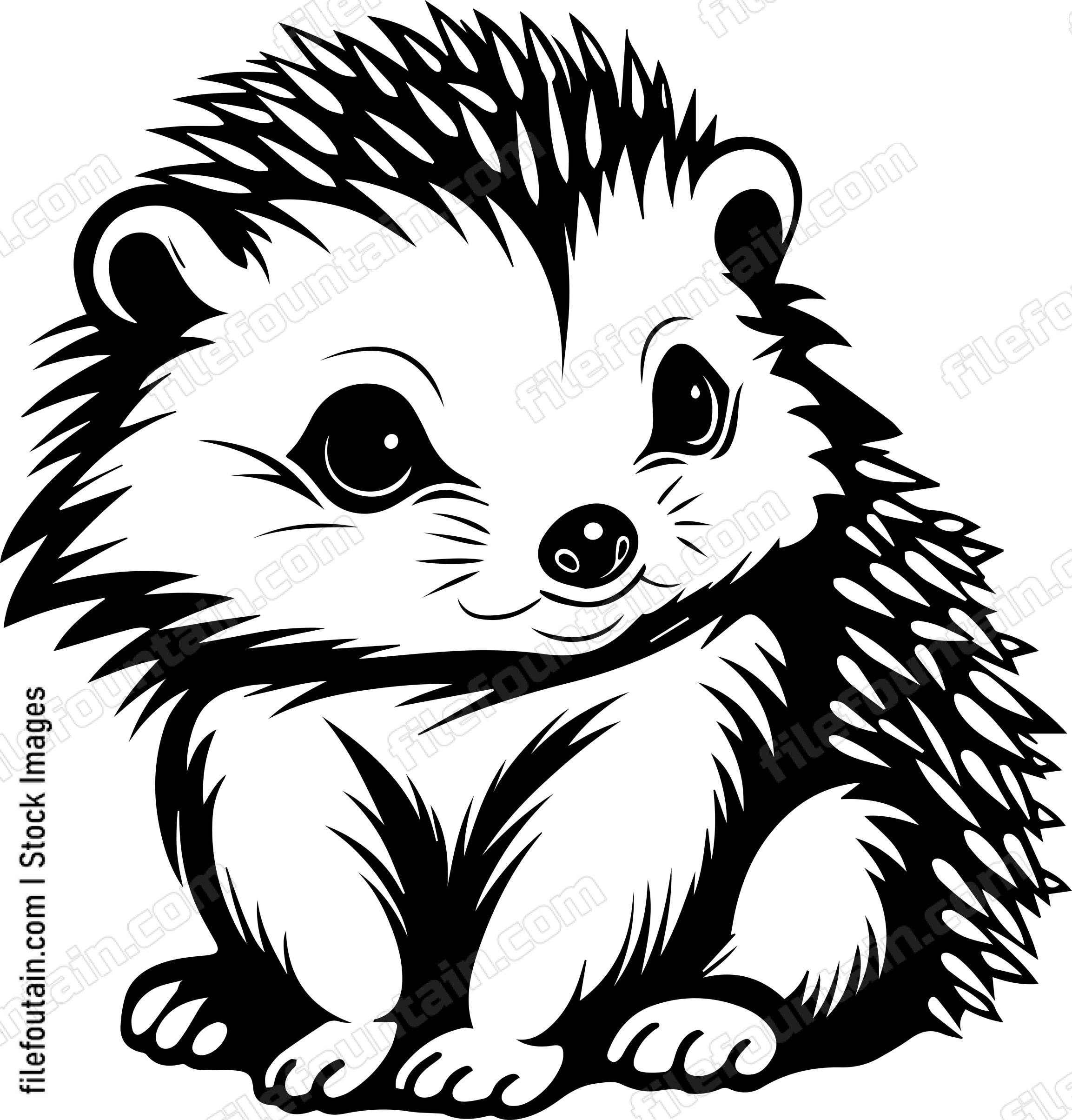 Baby Porcupine