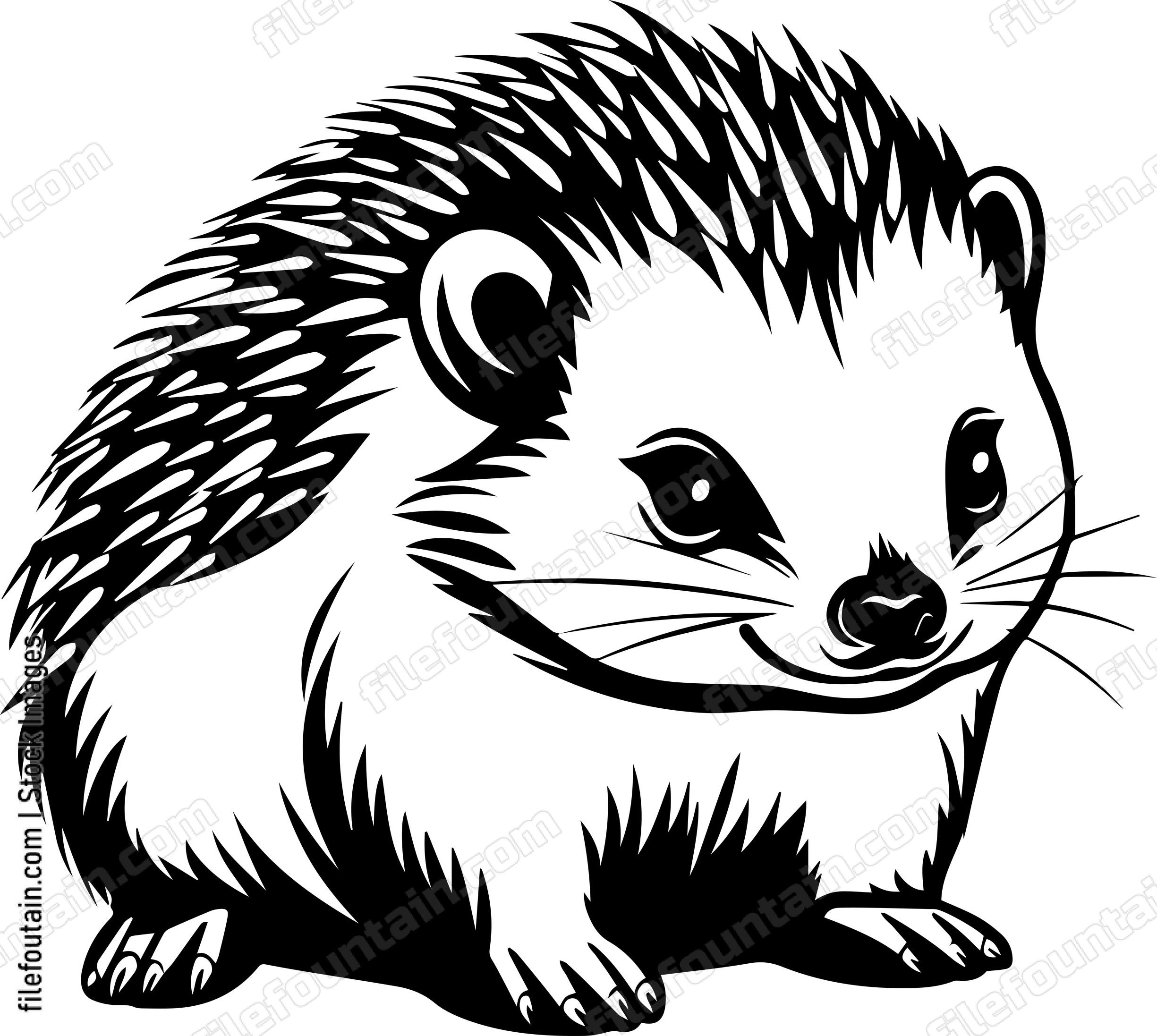 Baby Porcupine
