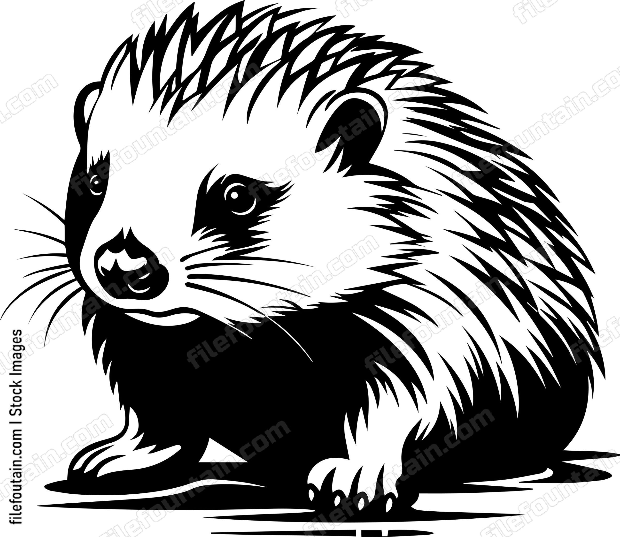 Baby Porcupine