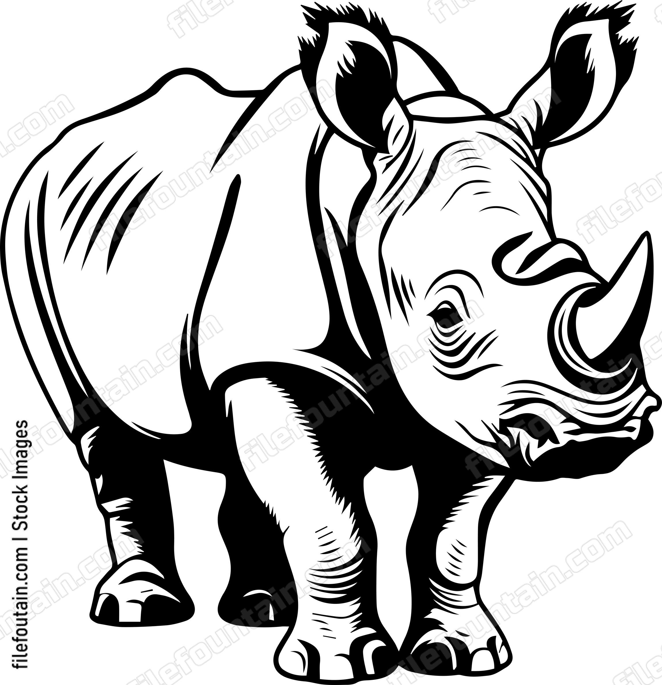 Baby Rhino
