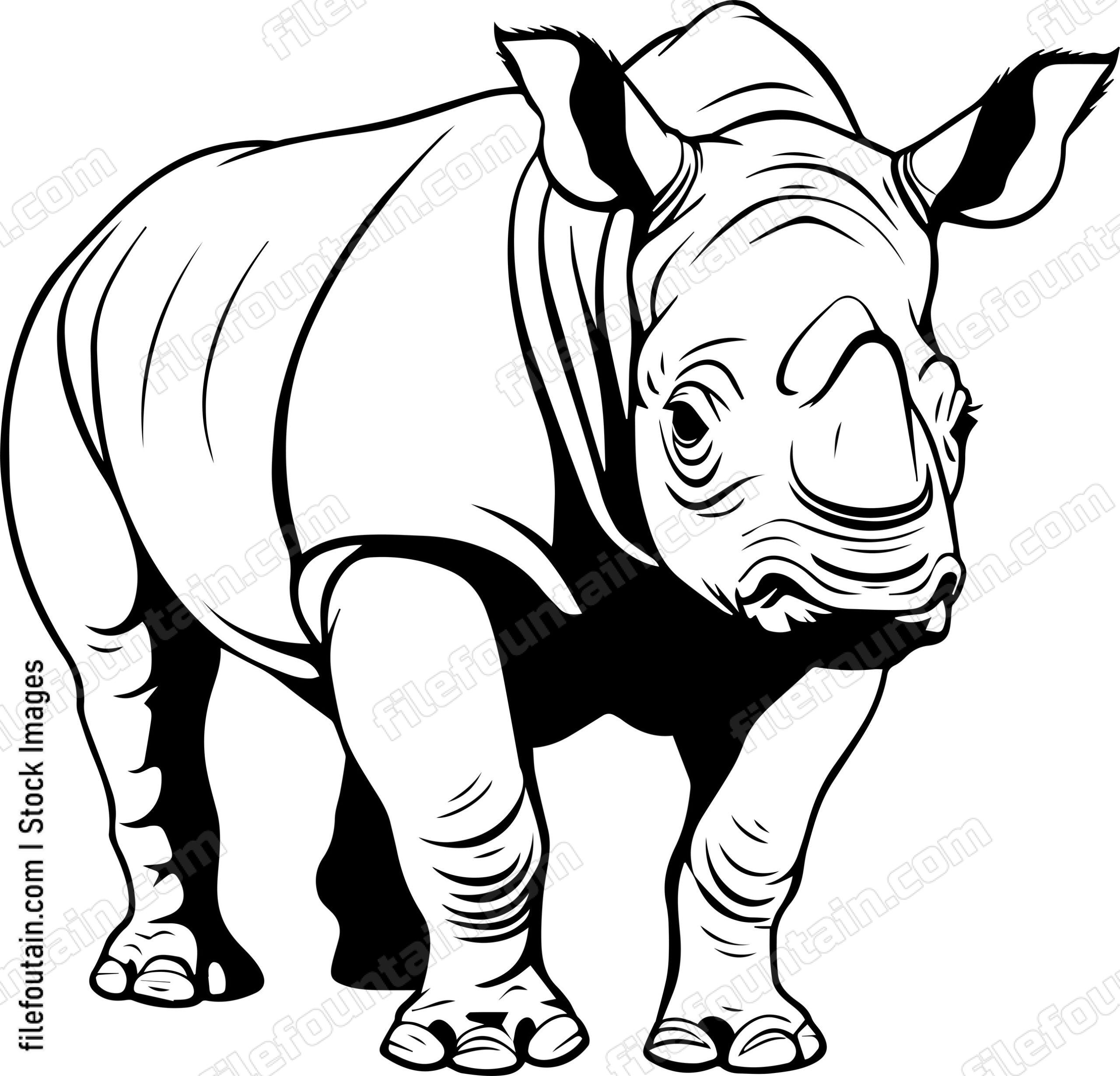 Baby Rhino