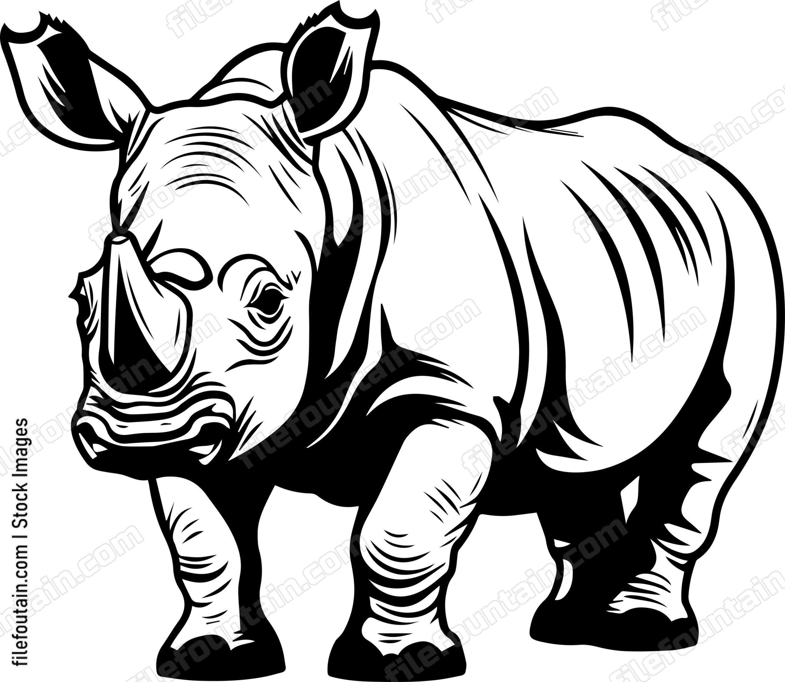 Baby Rhino