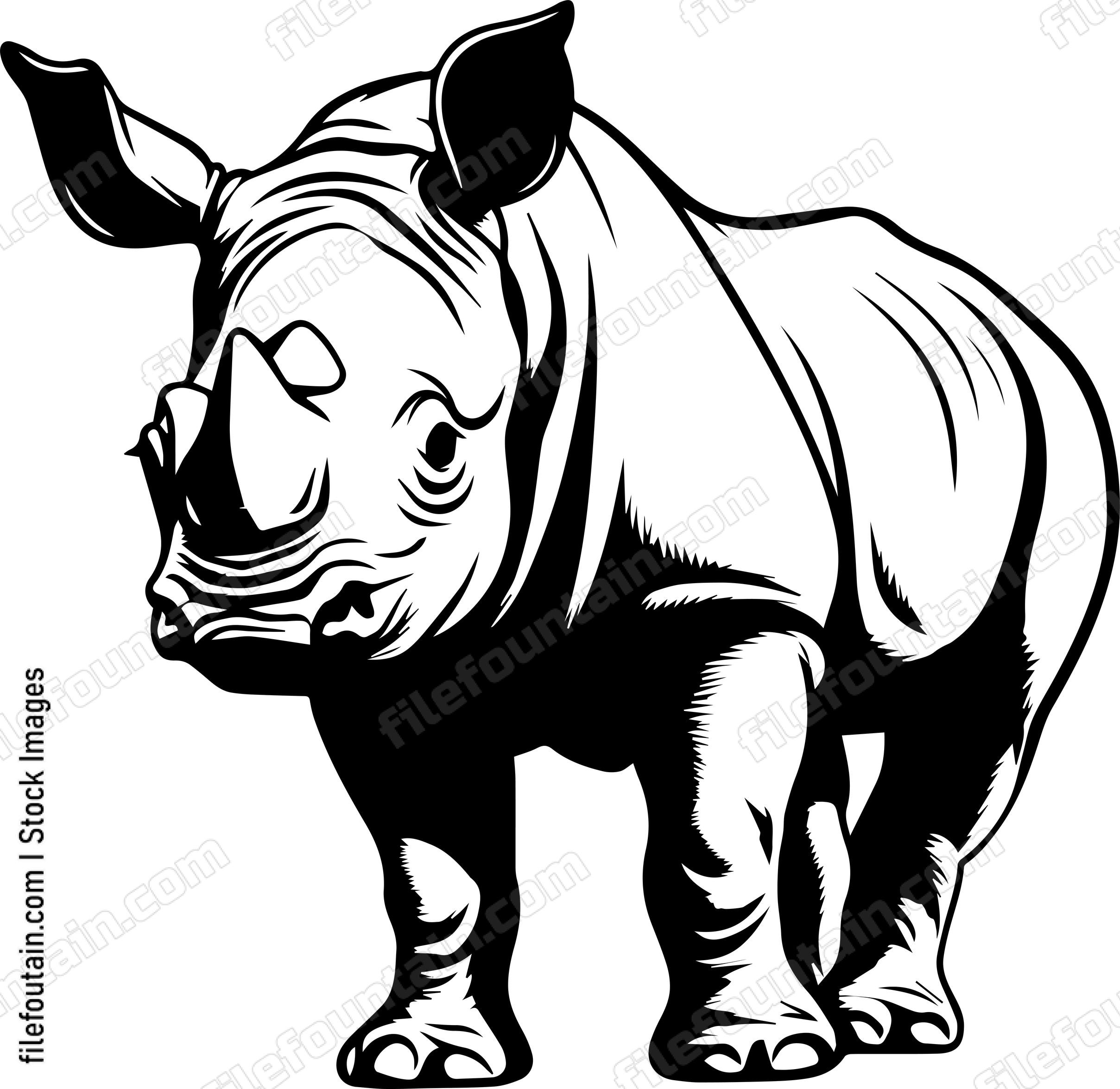 Baby Rhino