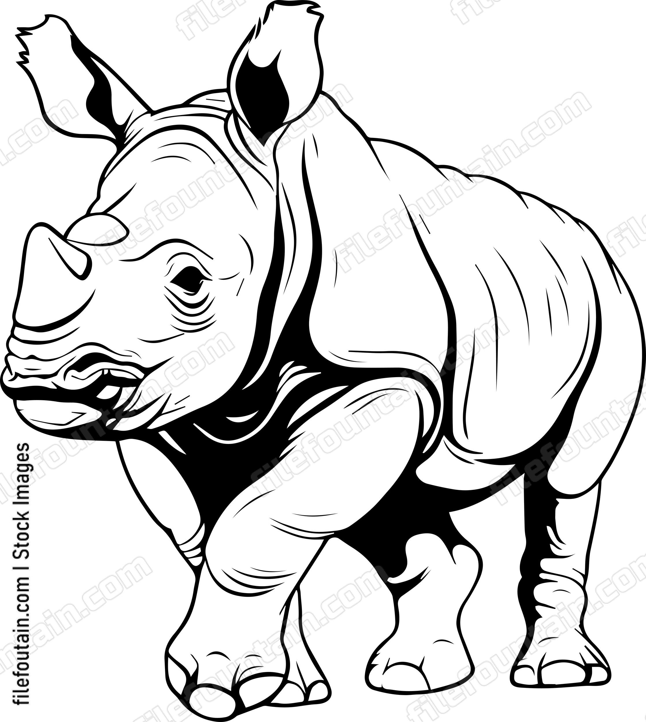 Baby Rhino