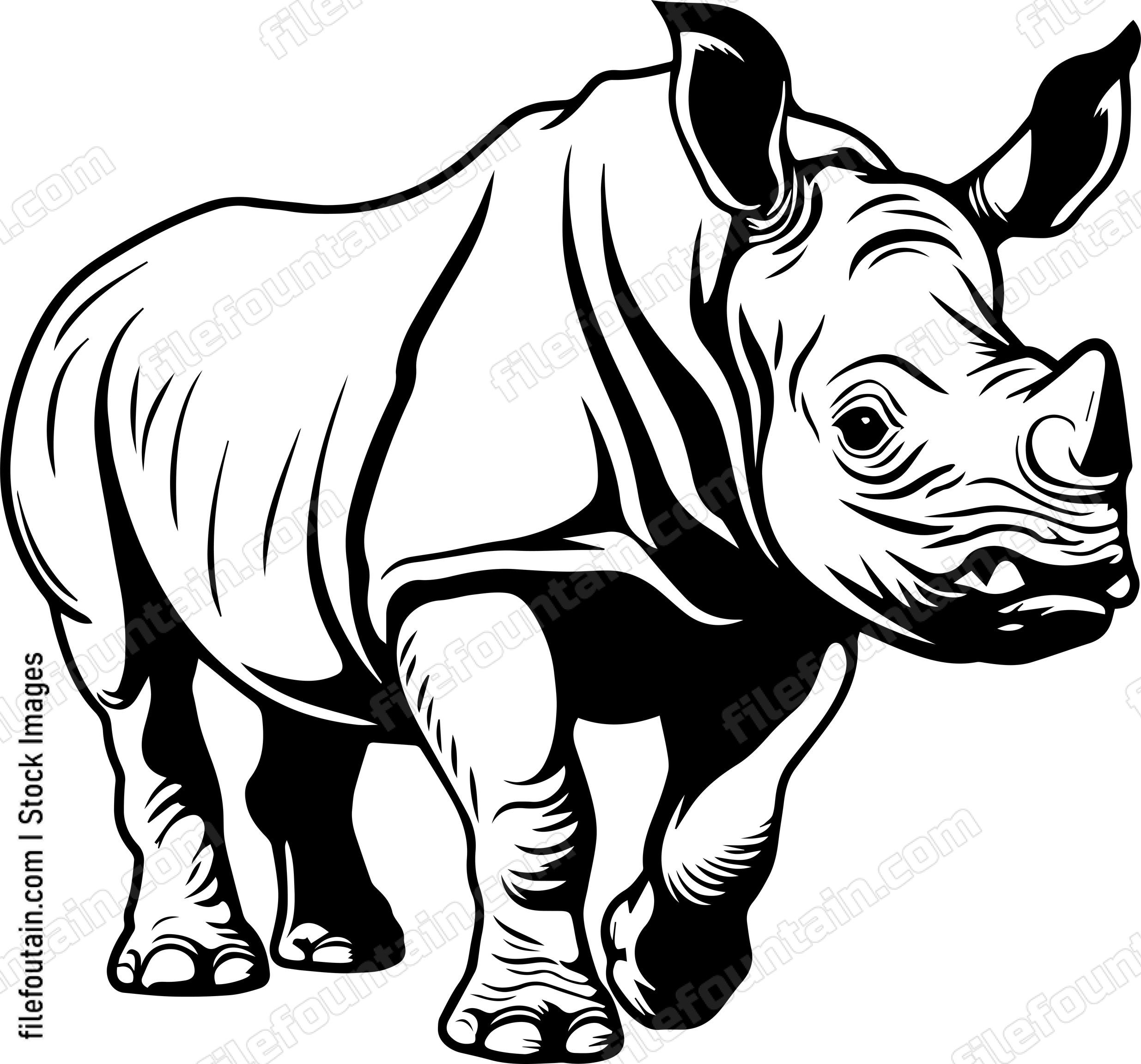 Baby Rhino