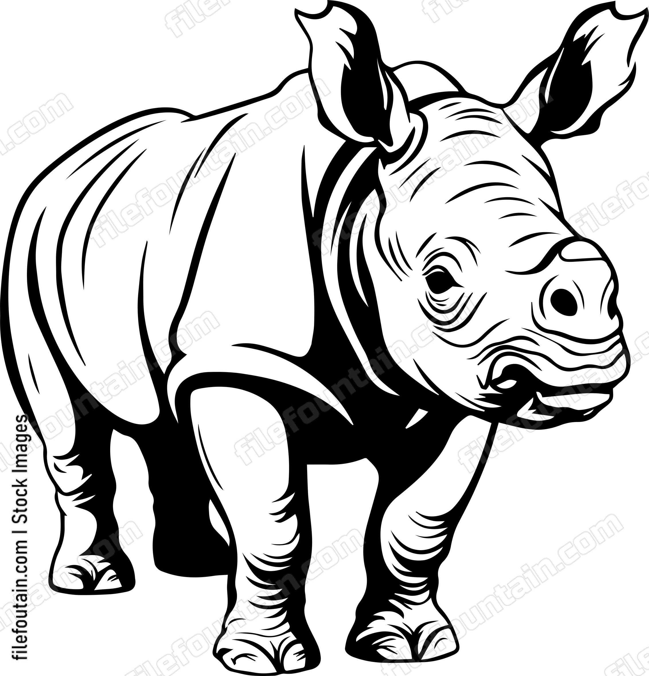 Baby Rhino